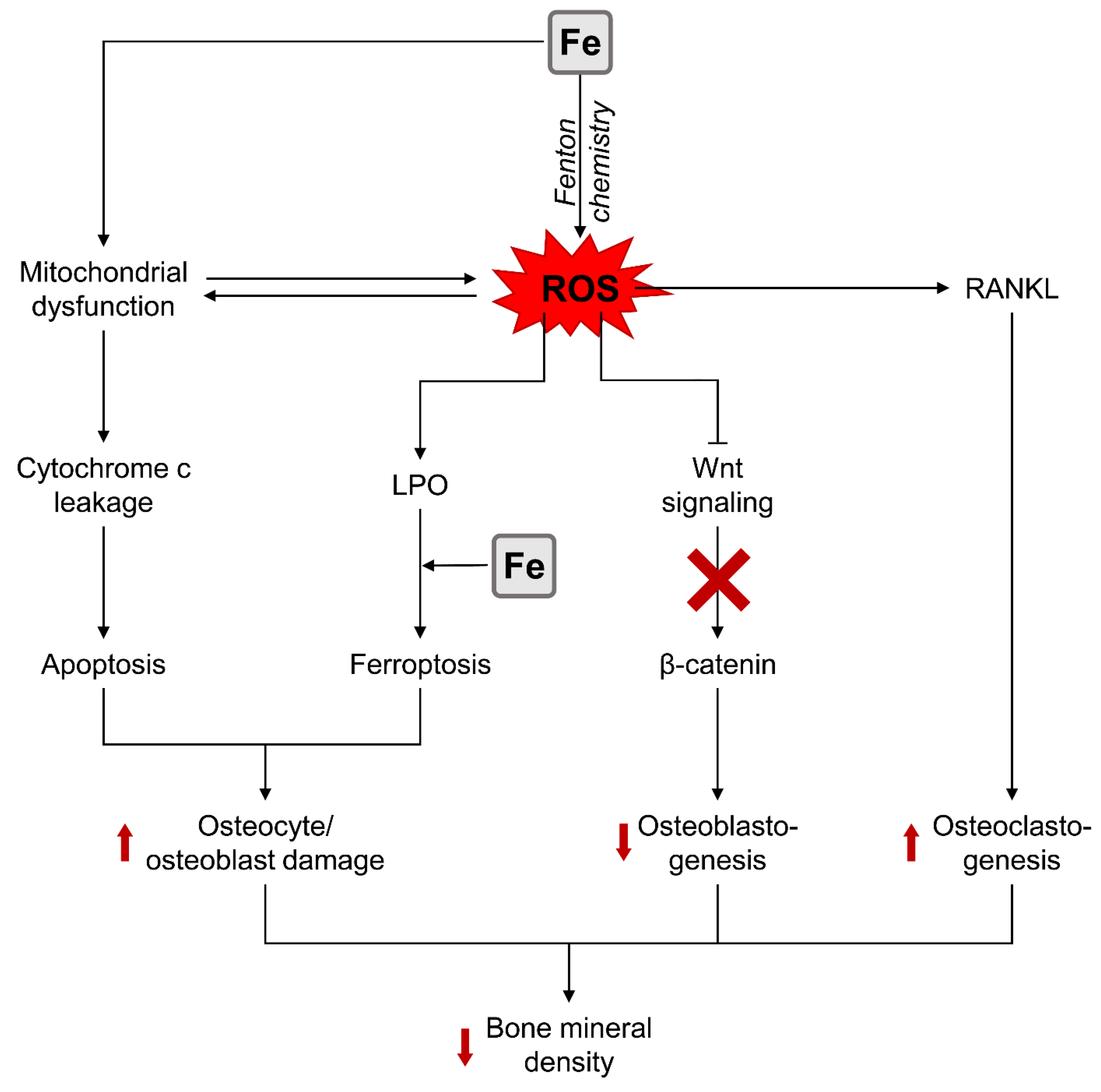 Biomolecules 13 01006 g002
