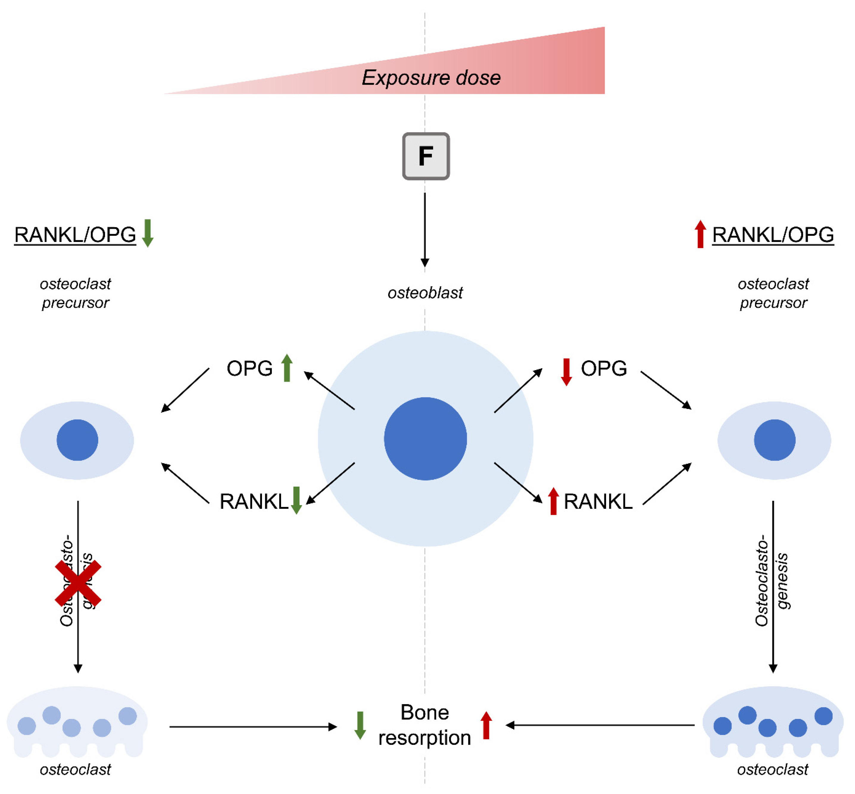 Biomolecules 13 01006 g004