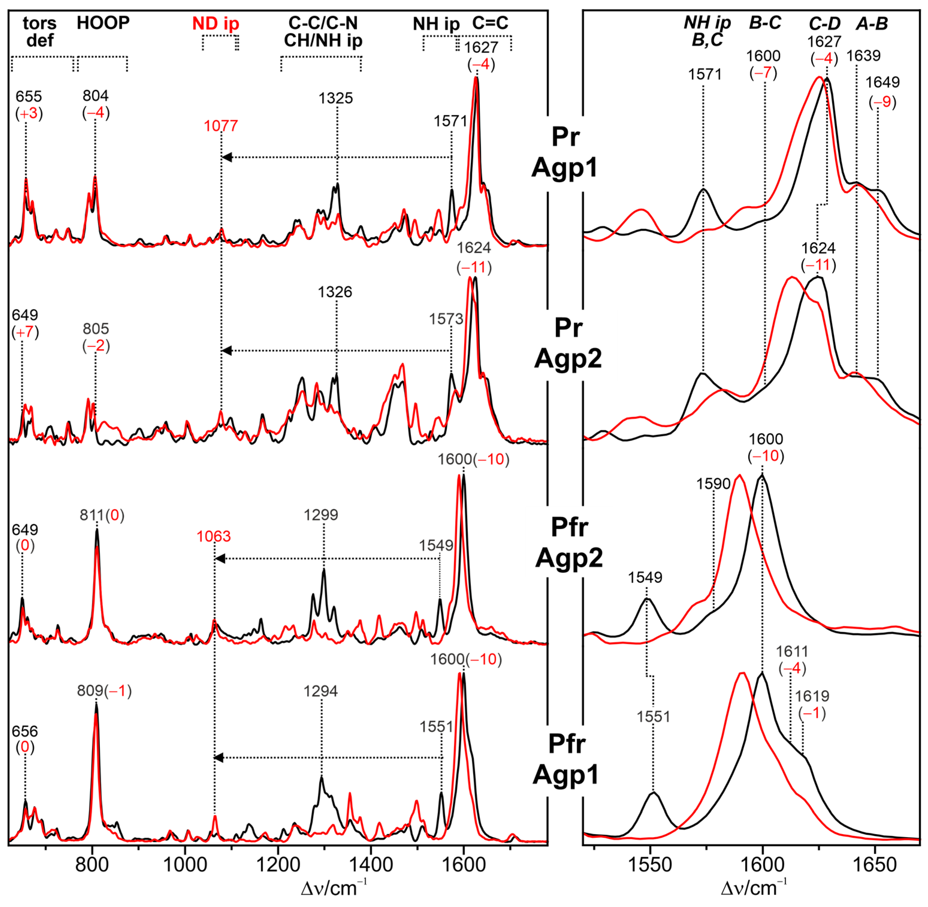 Biomolecules 13 01007 g002 Biomolecules 13 01007 g002