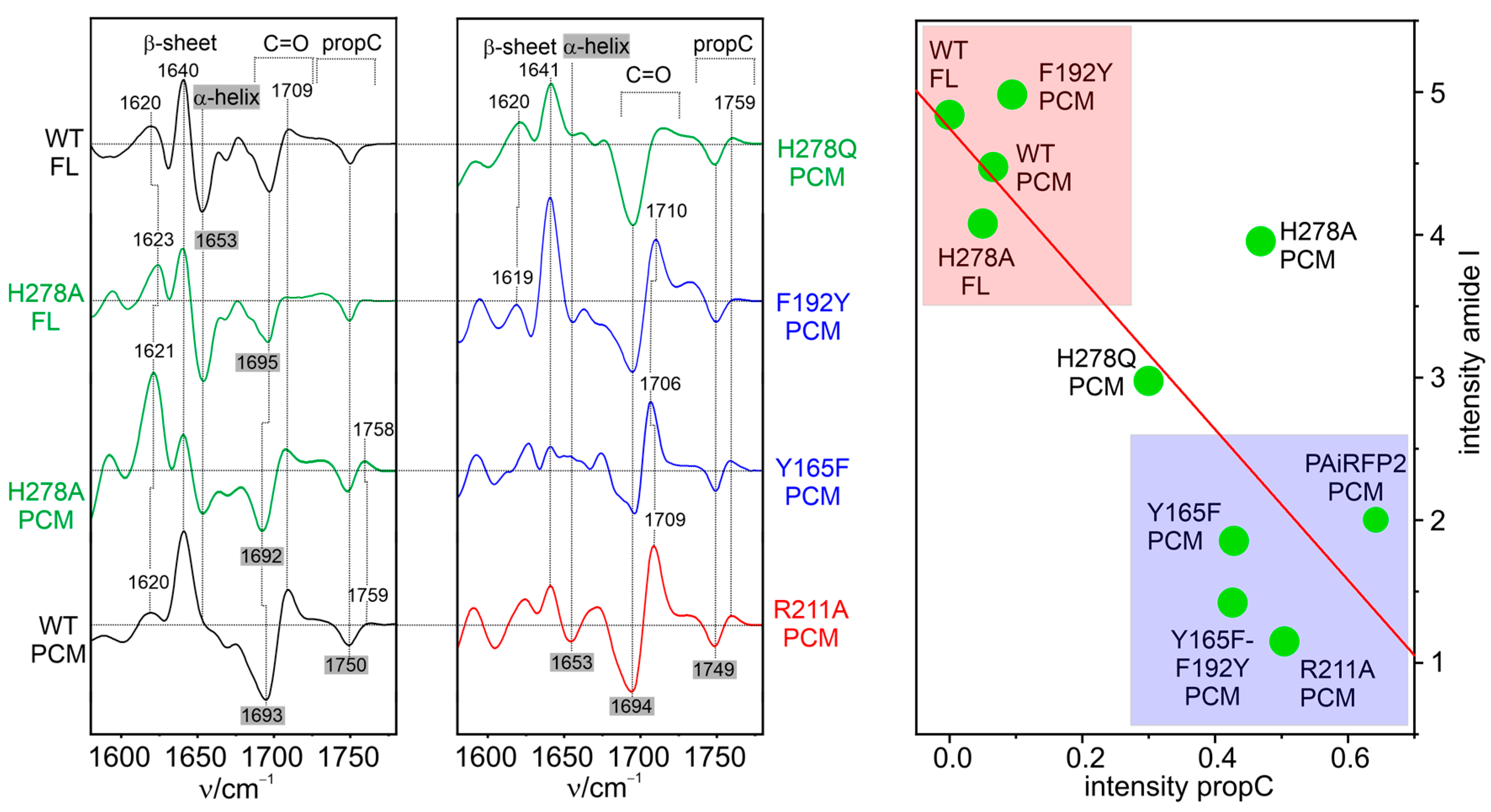 Biomolecules 13 01007 g005 Biomolecules 13 01007 g005