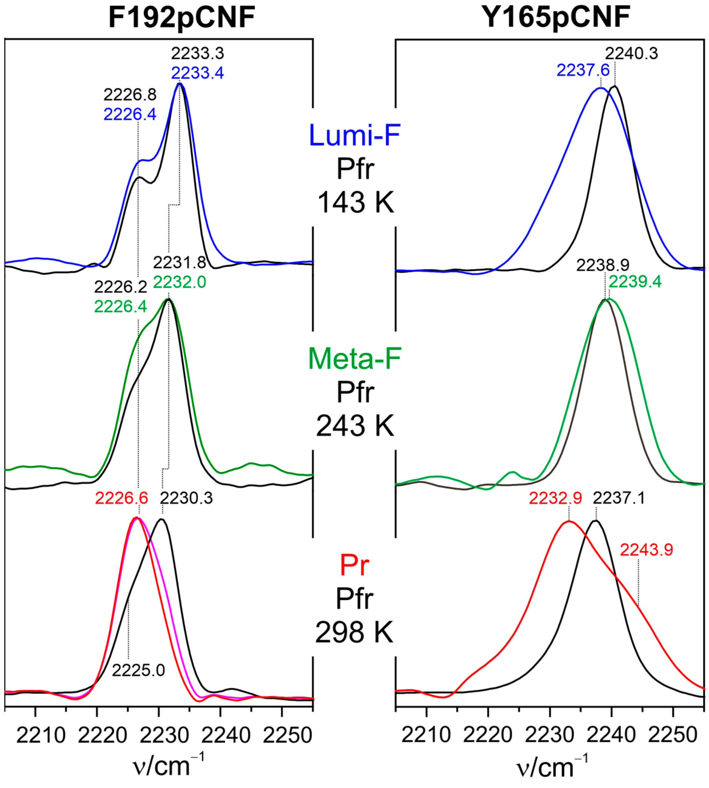 Biomolecules 13 01007 g006 Biomolecules 13 01007 g006