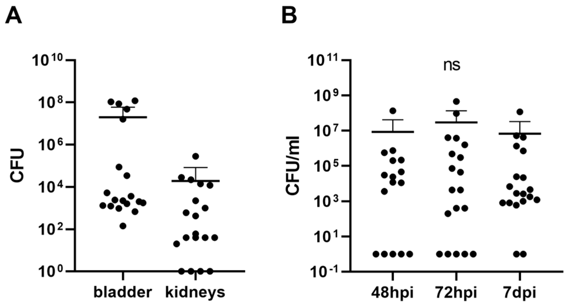 Biomolecules 13 01008 g004