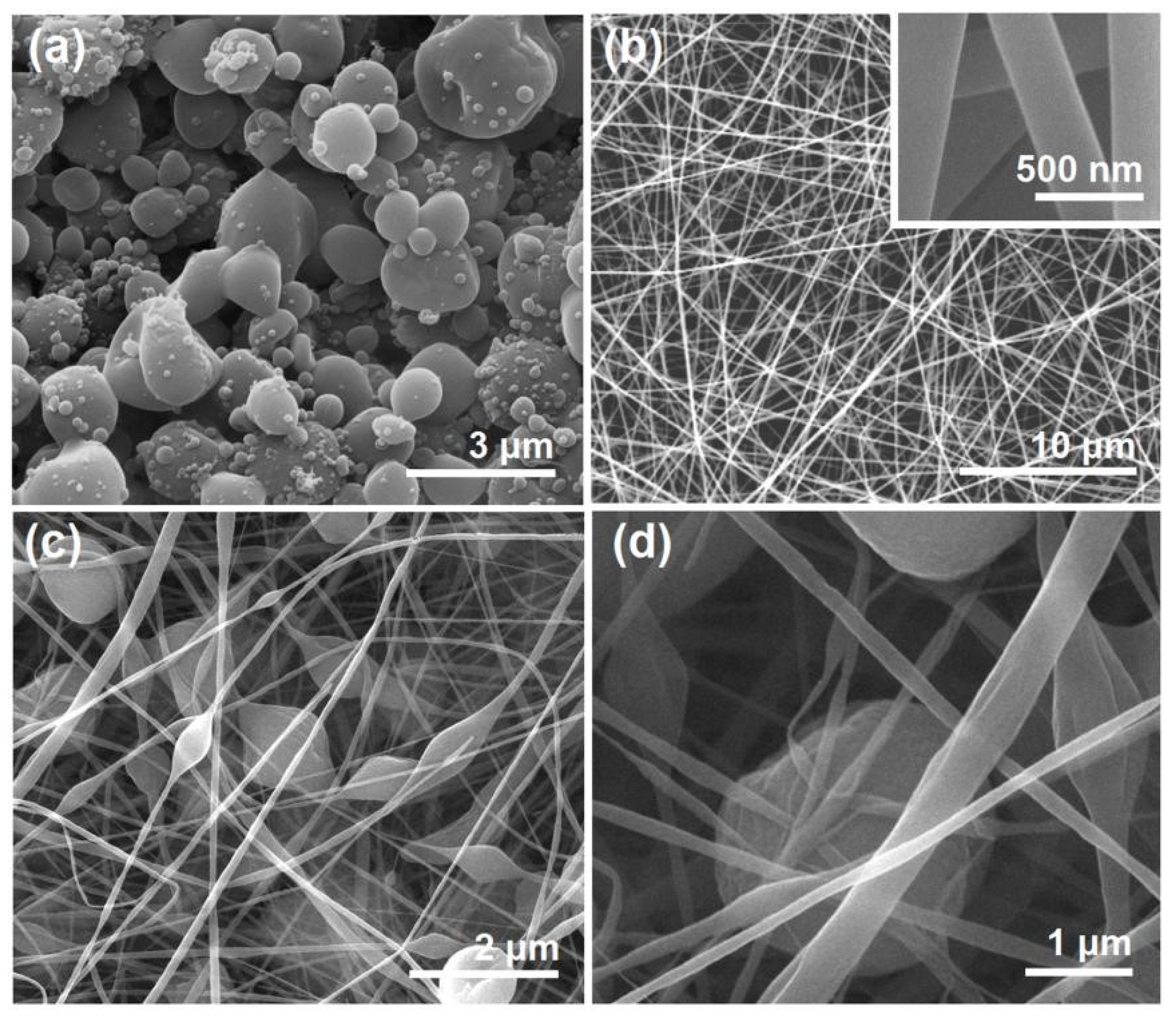 Biomolecules 13 01011 g003