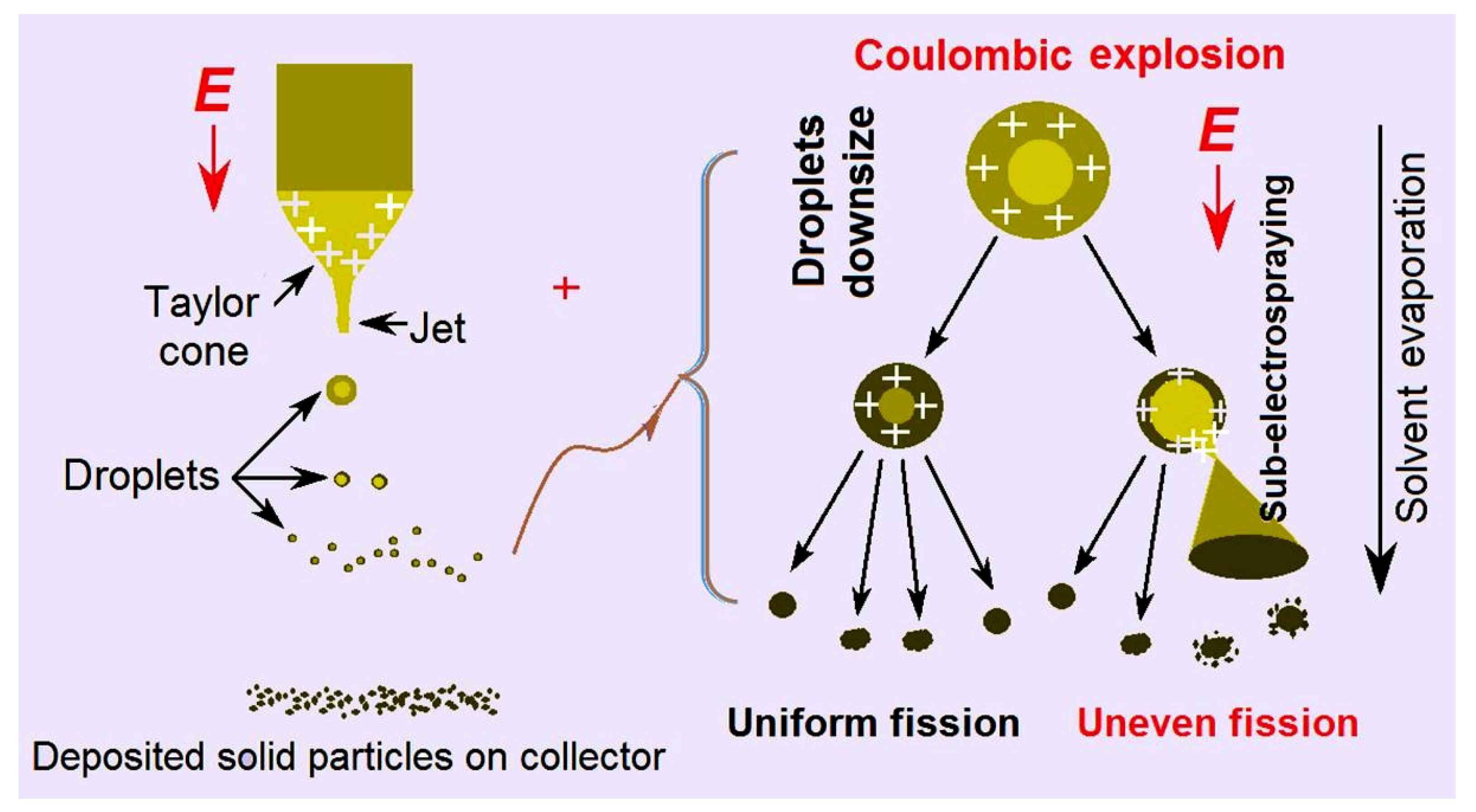 Biomolecules 13 01011 g005