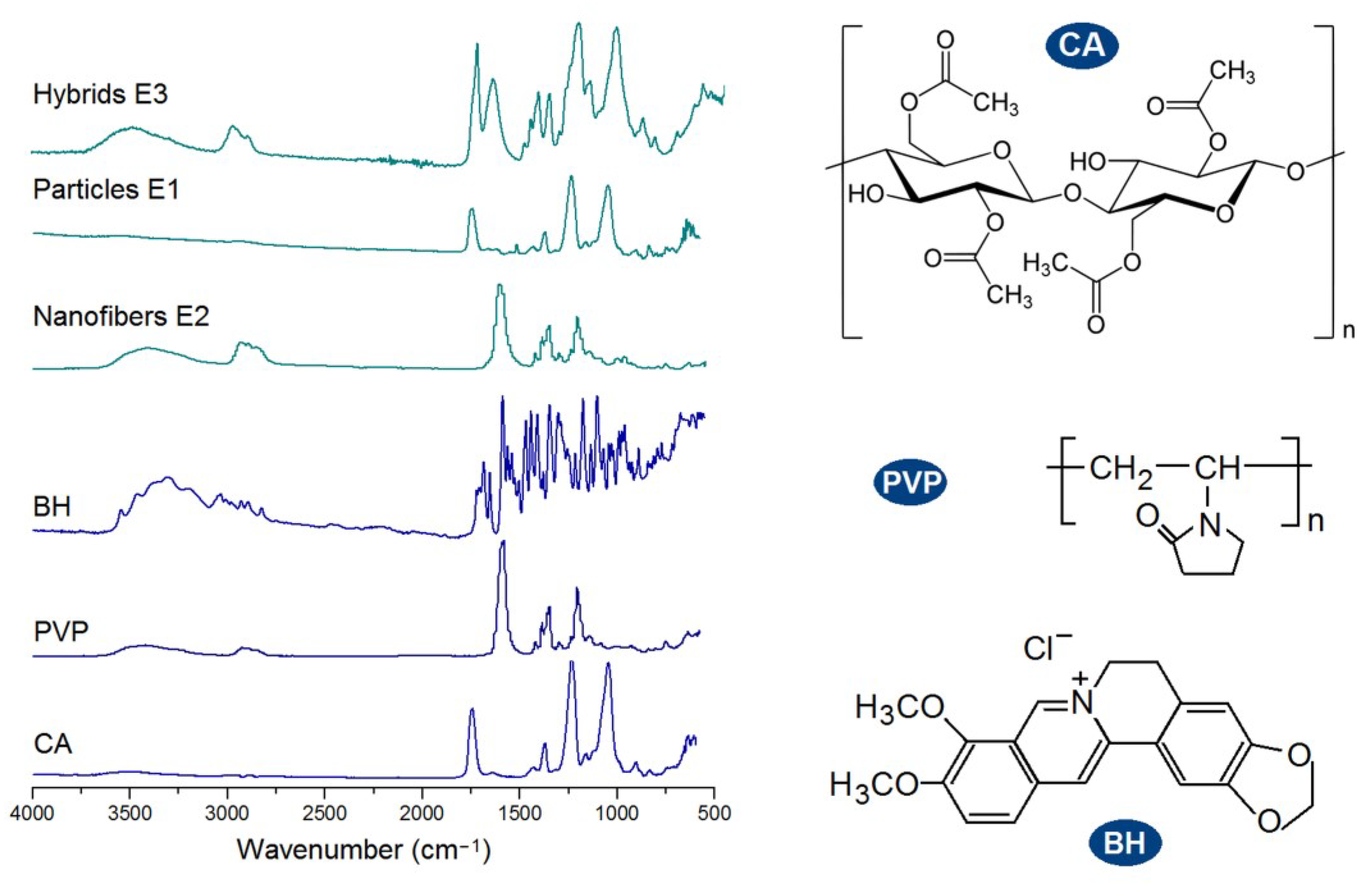 Biomolecules 13 01011 g007
