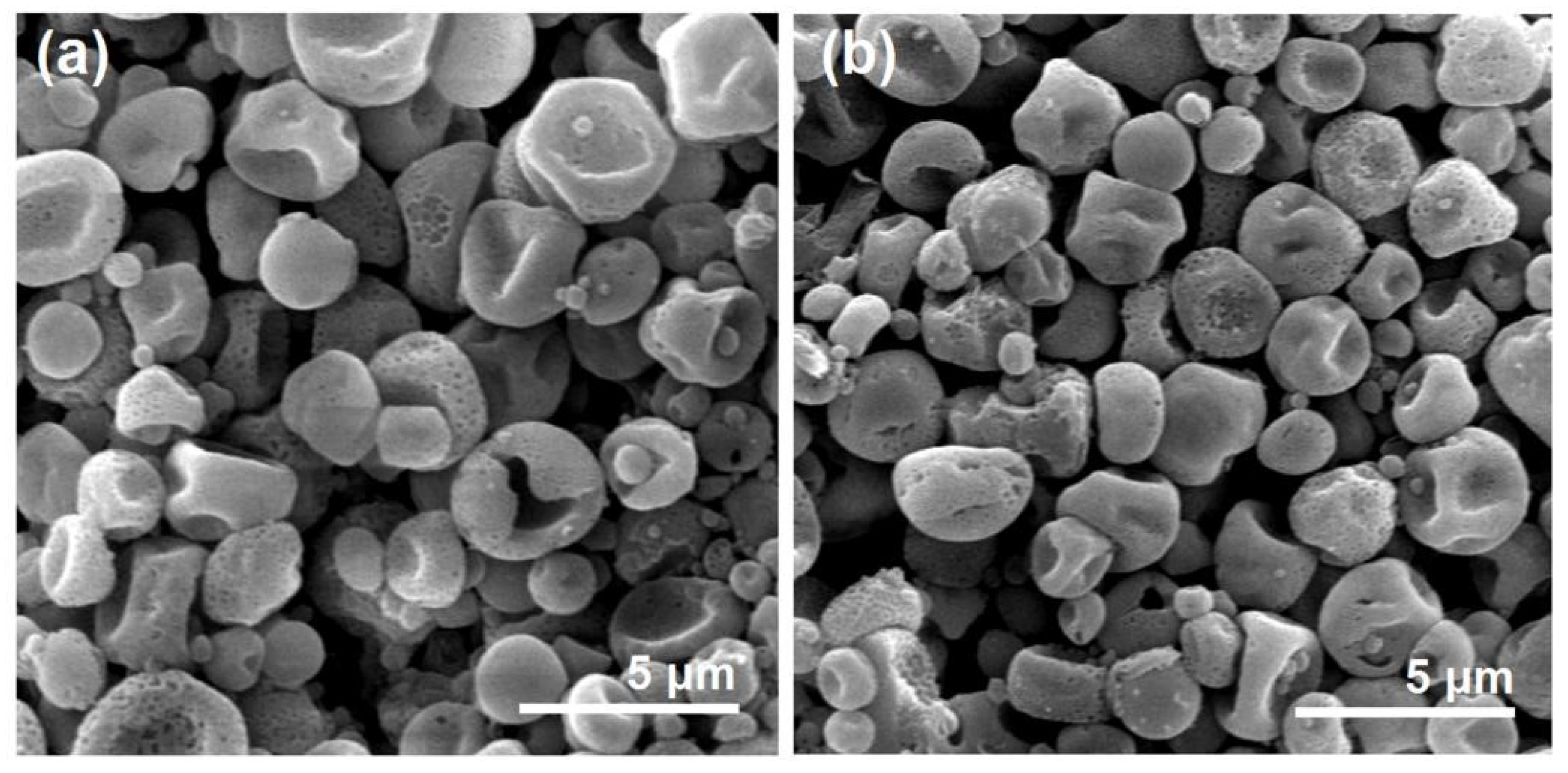 Biomolecules 13 01011 g010