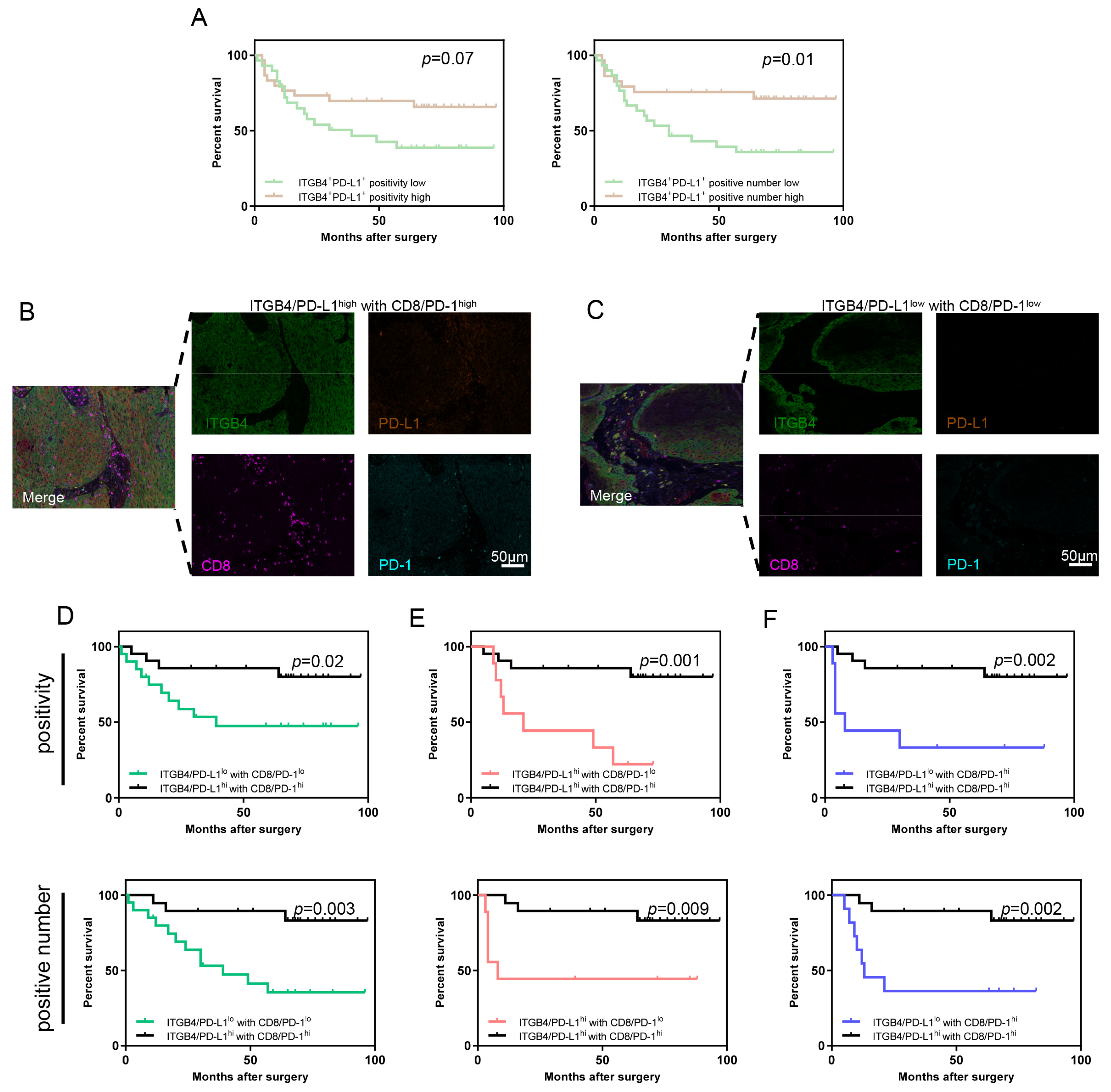 Biomolecules 13 01014 g005