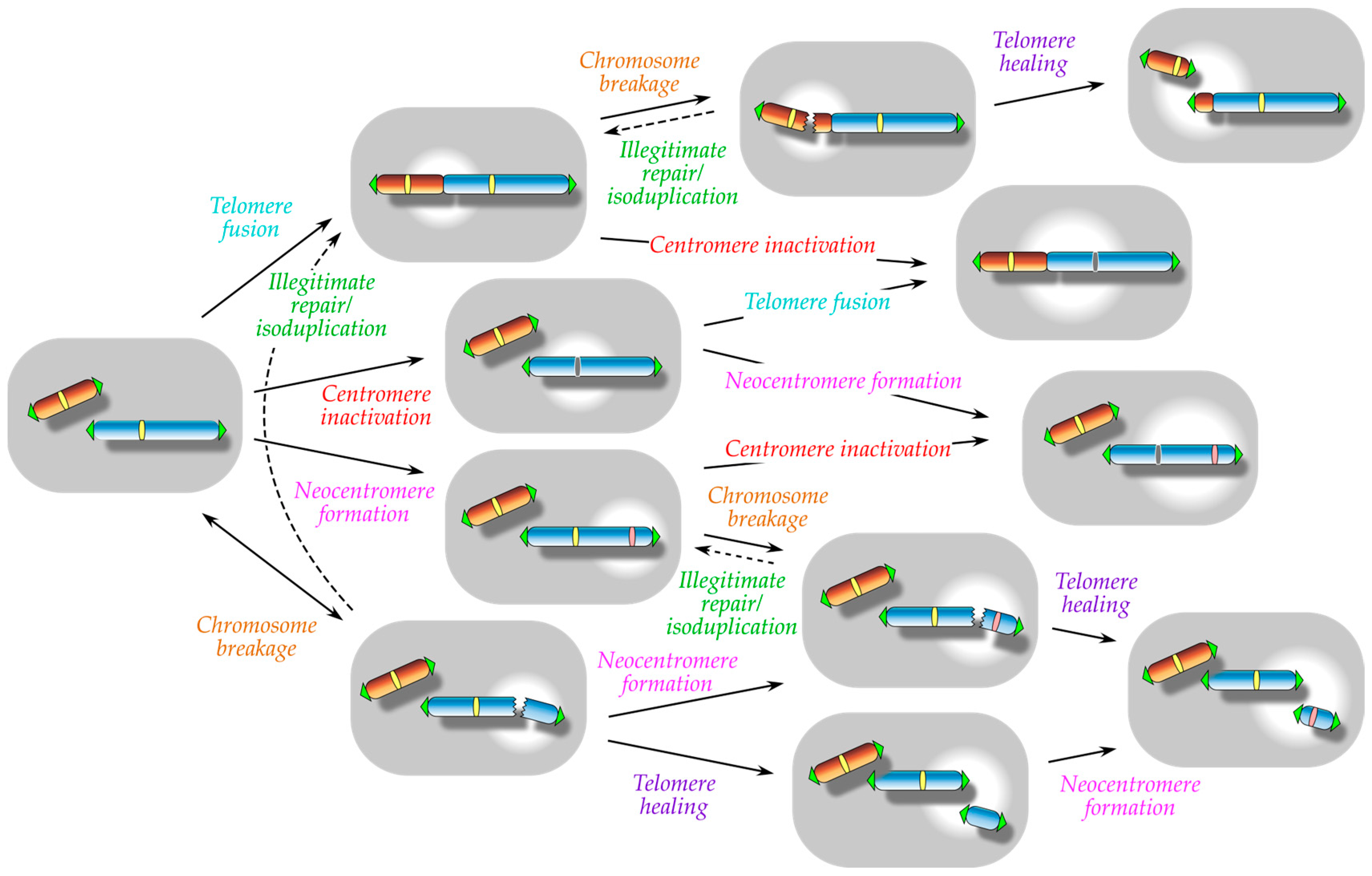Biomolecules 13 01016 g001