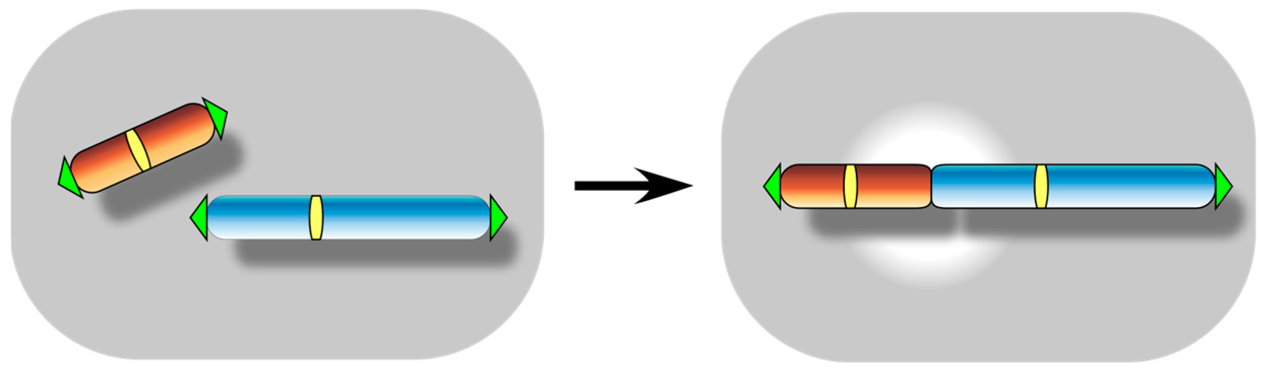 Biomolecules 13 01016 g002