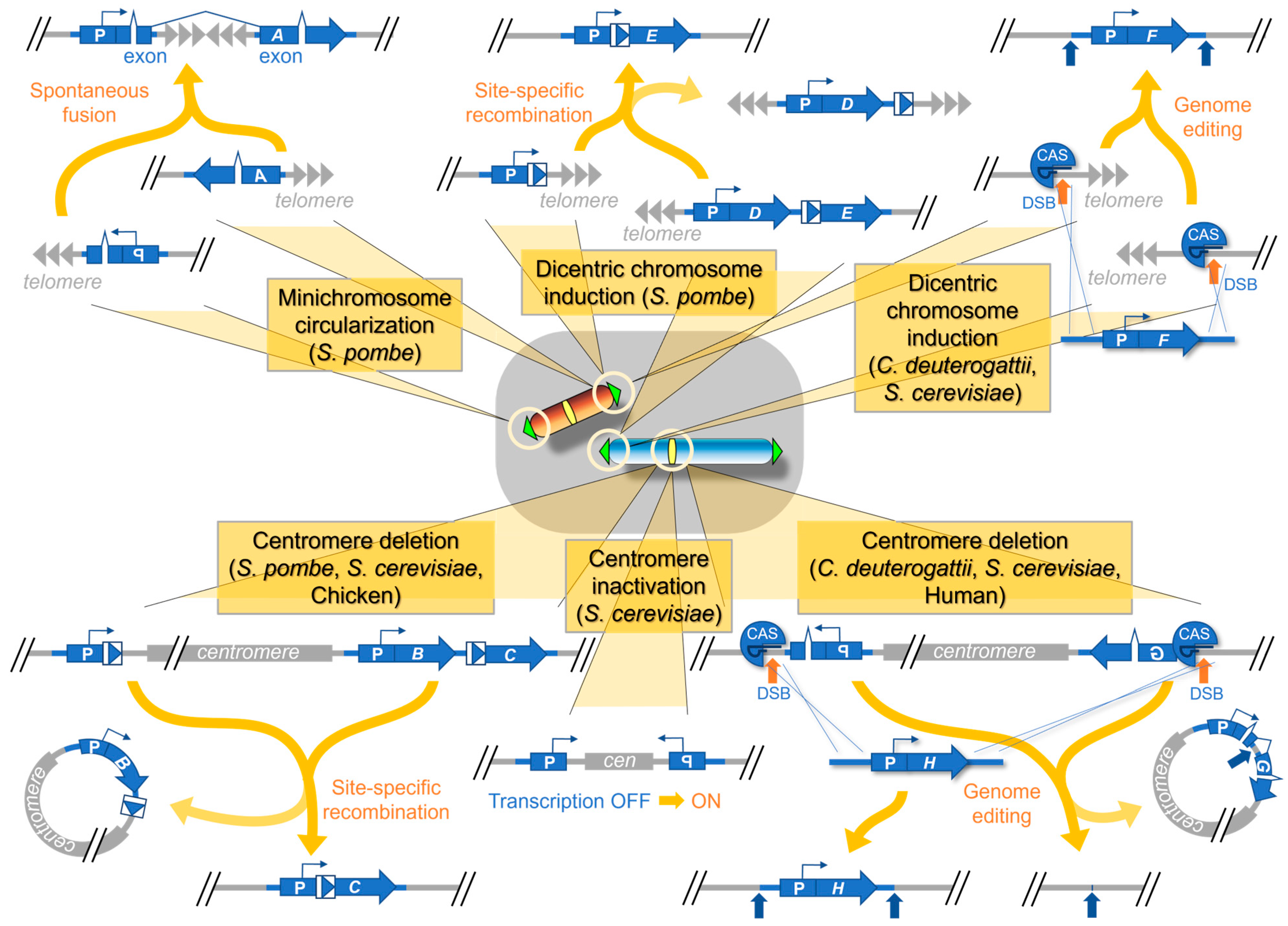 Biomolecules 13 01016 g003