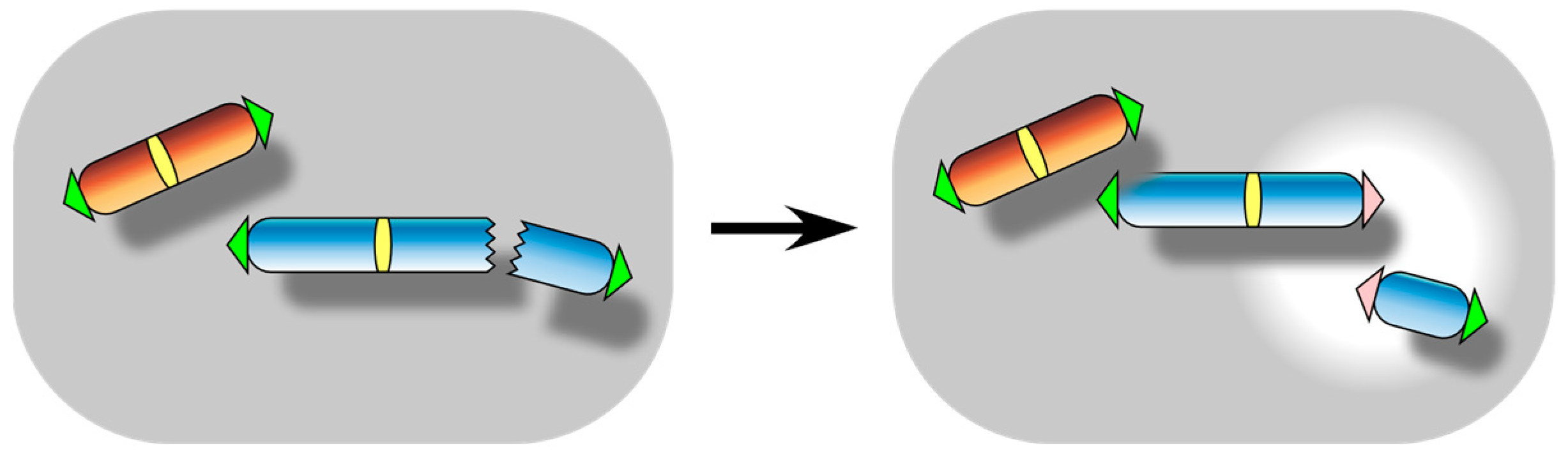 Biomolecules 13 01016 g005