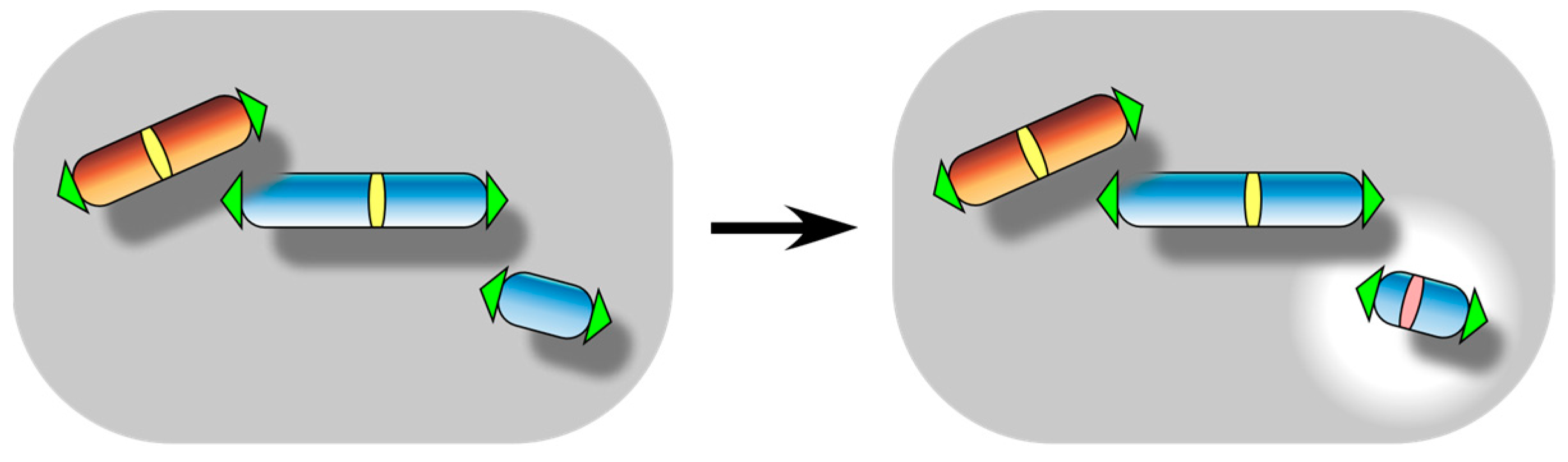 Biomolecules 13 01016 g006