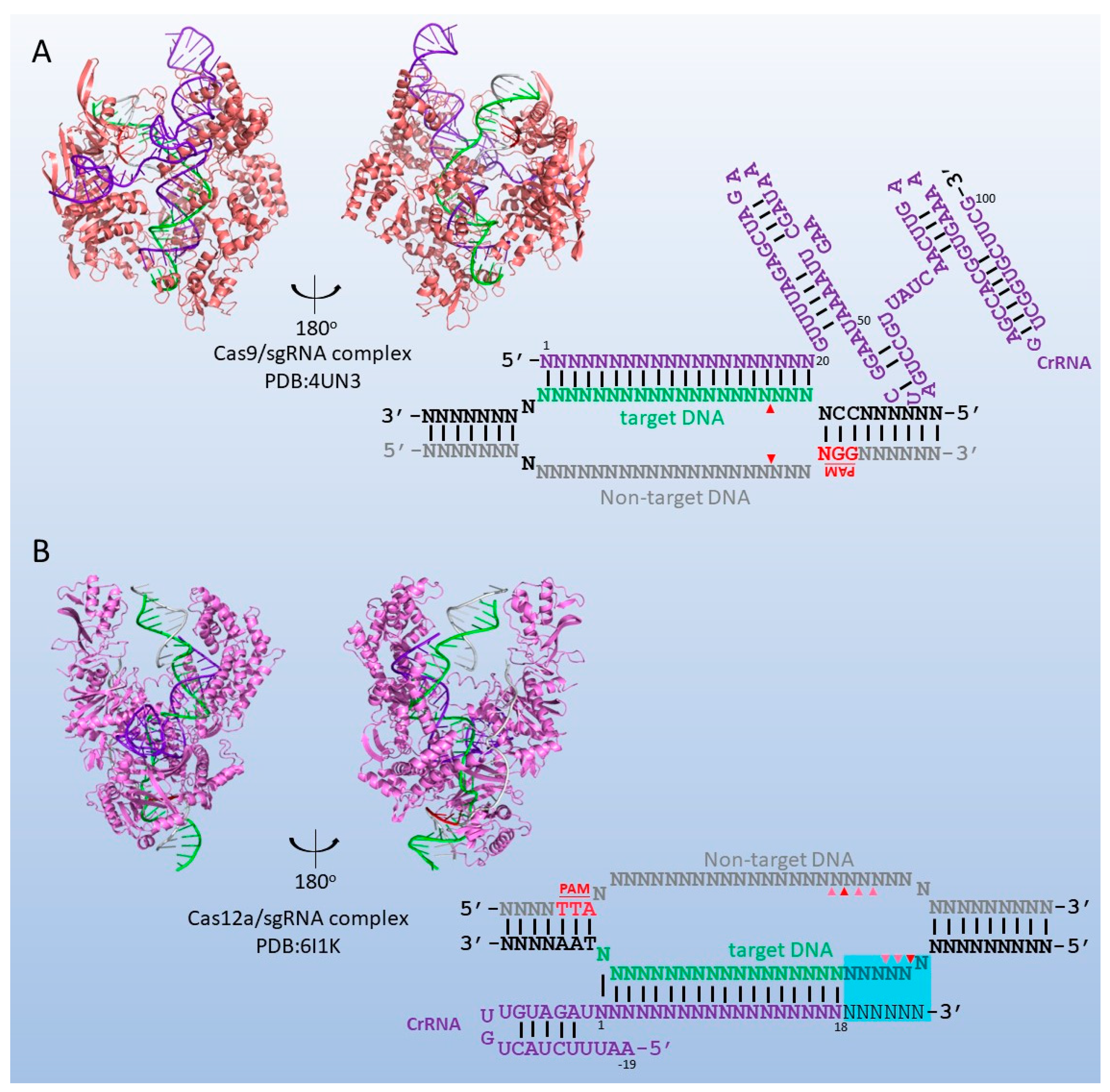Biomolecules 13 01022 g002