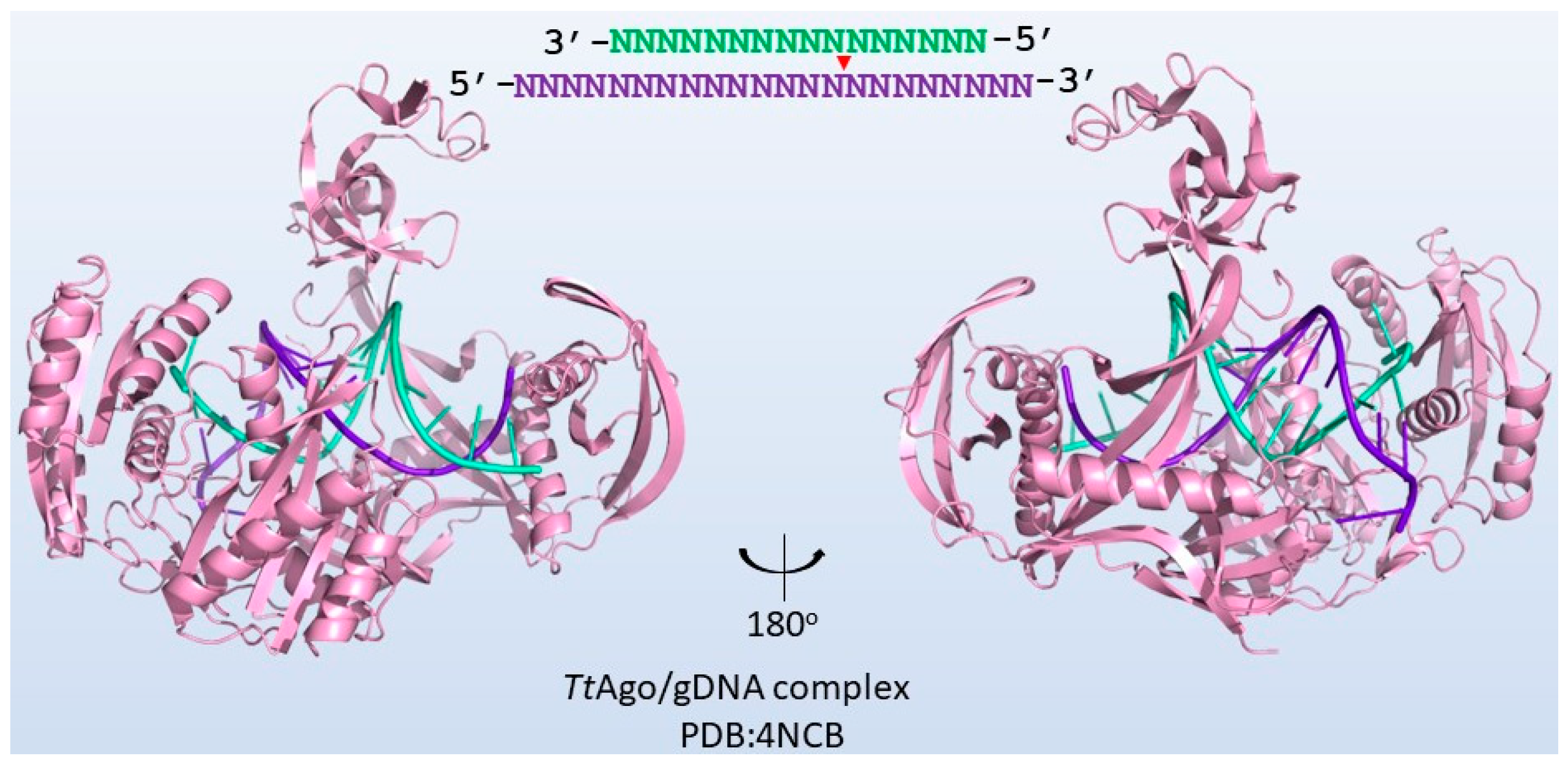 Biomolecules 13 01022 g004