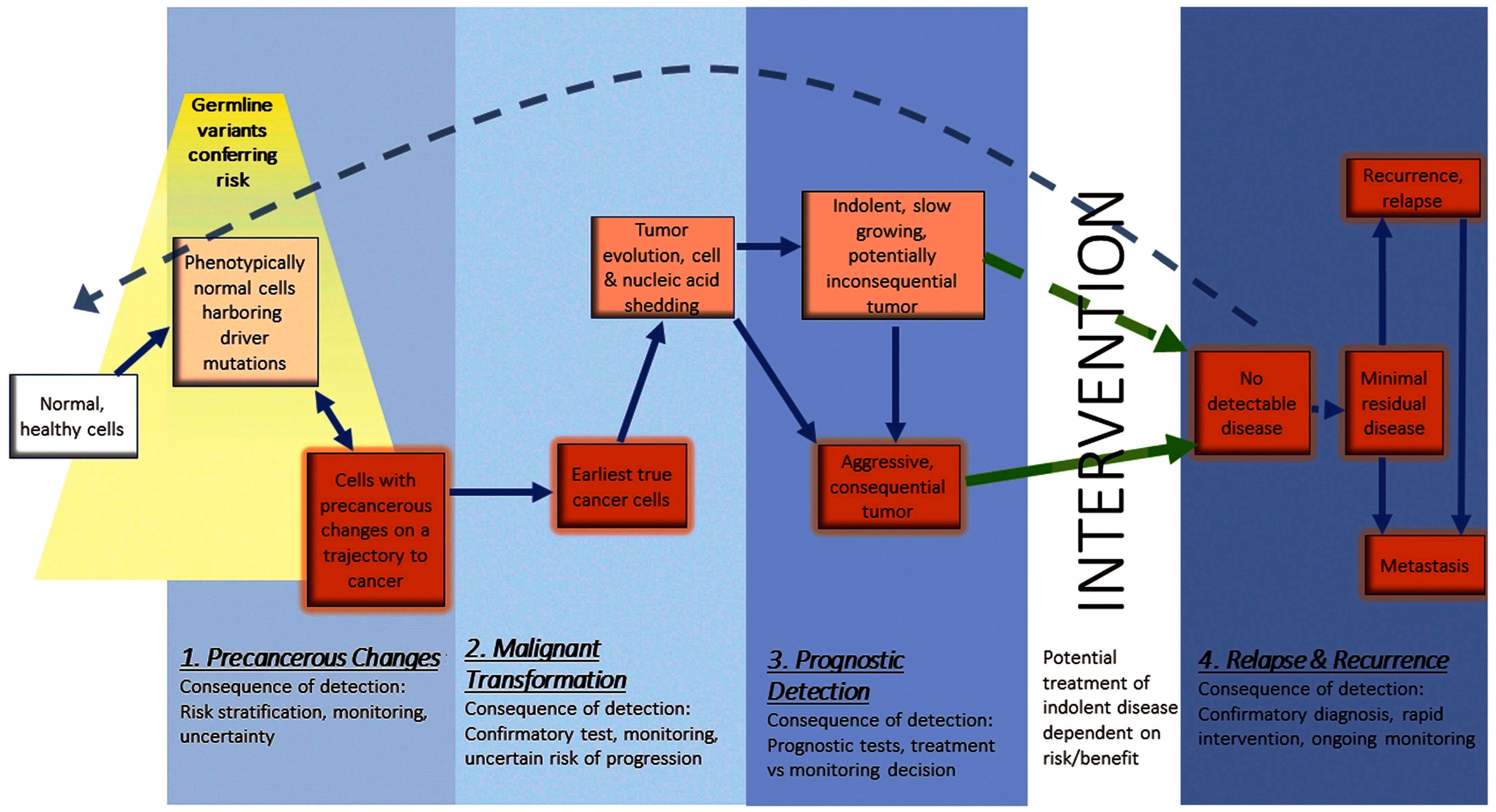 Biomolecules 13 01024 g001