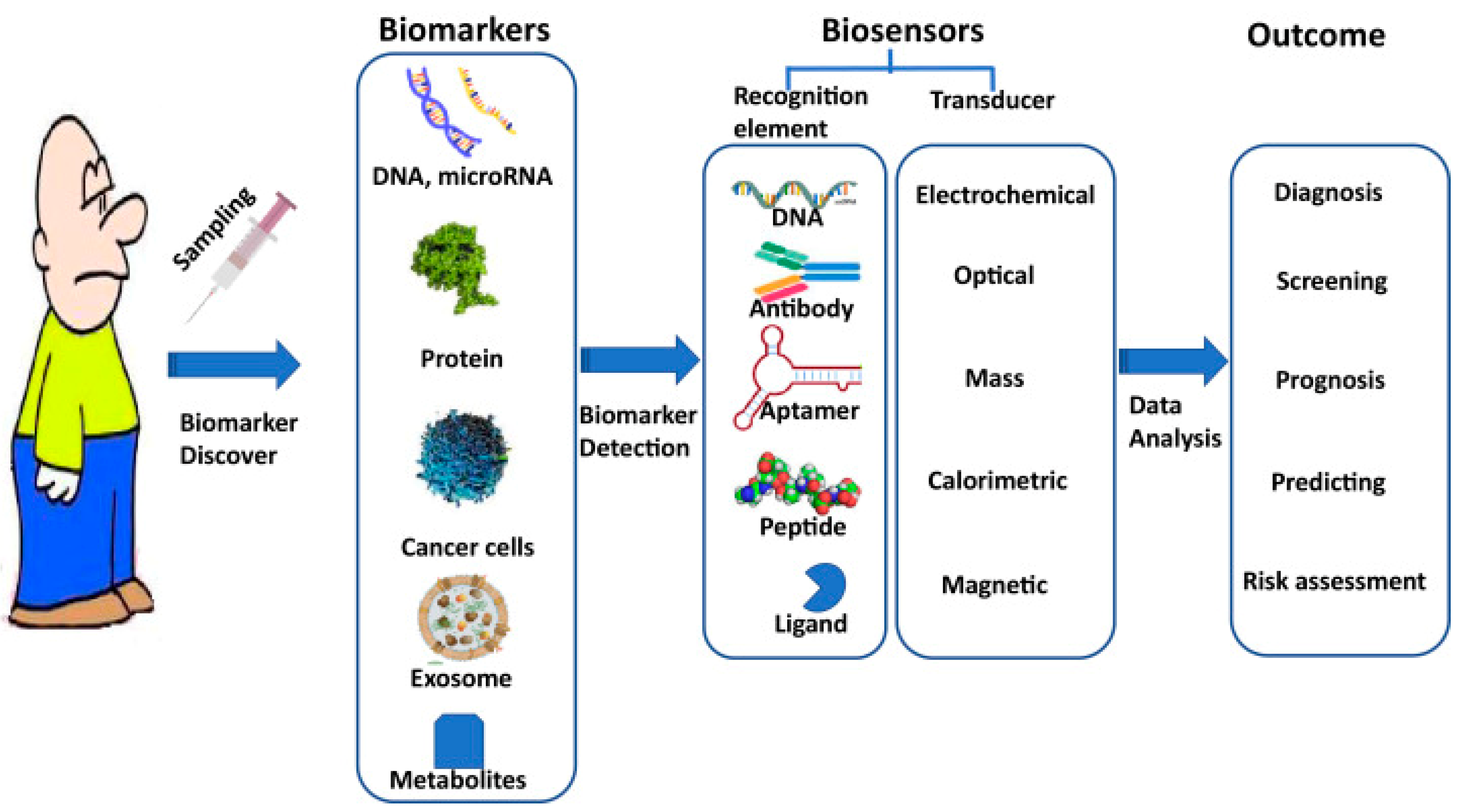 Biomolecules 13 01024 g002