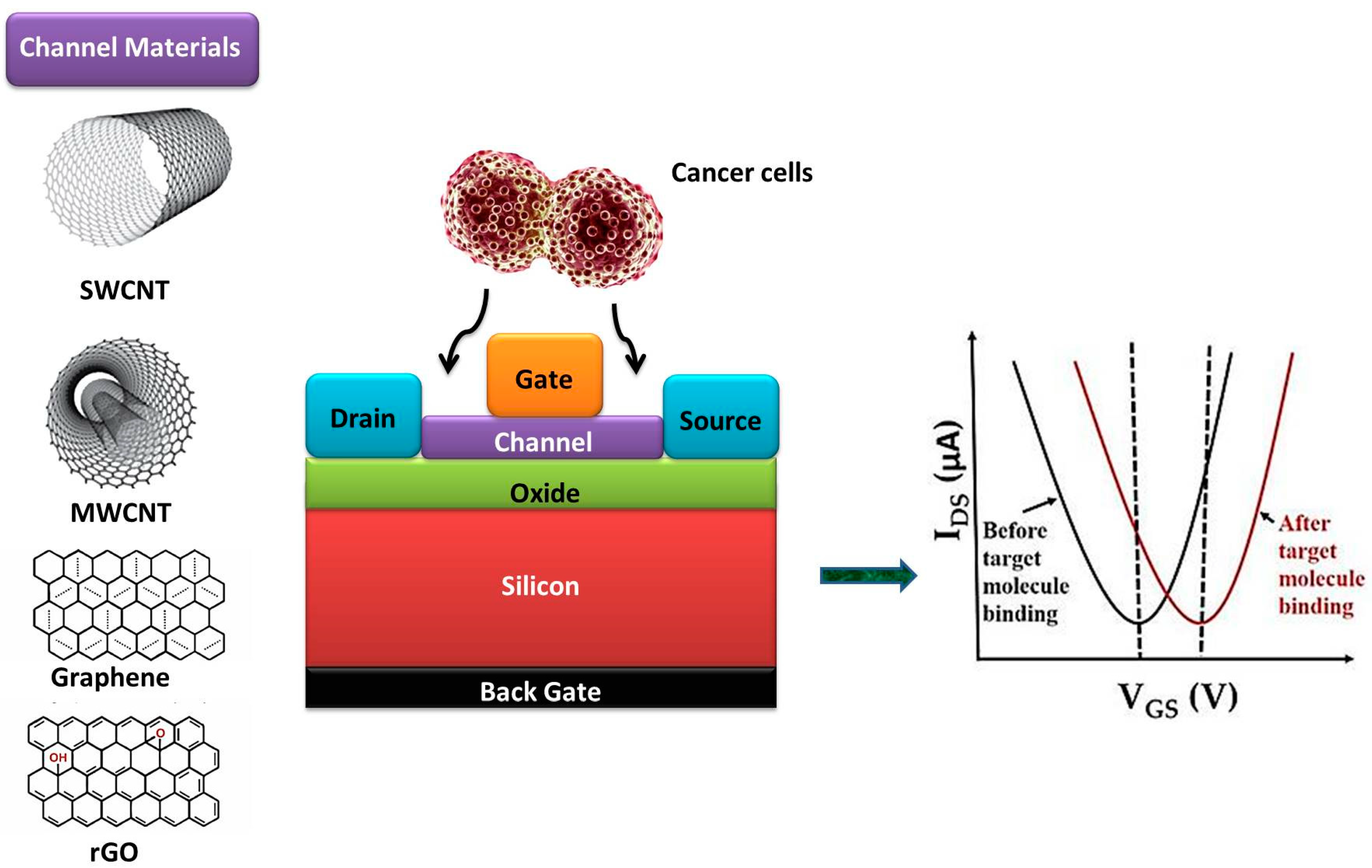 Biomolecules 13 01024 g003