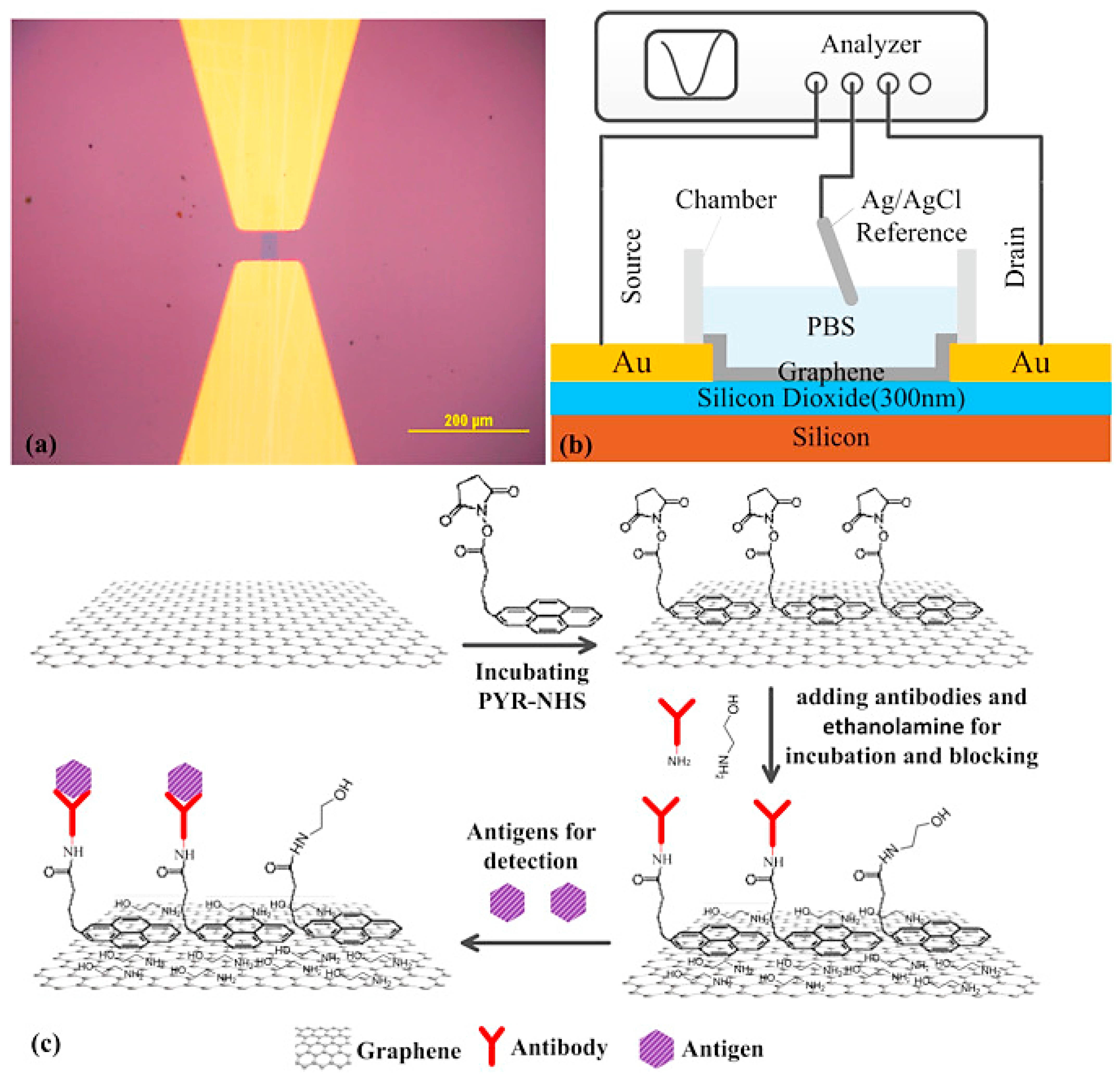 Biomolecules 13 01024 g006