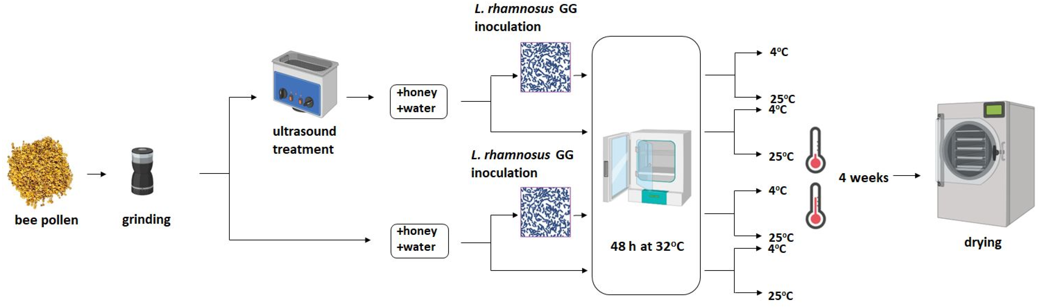Biomolecules 13 01025 g001