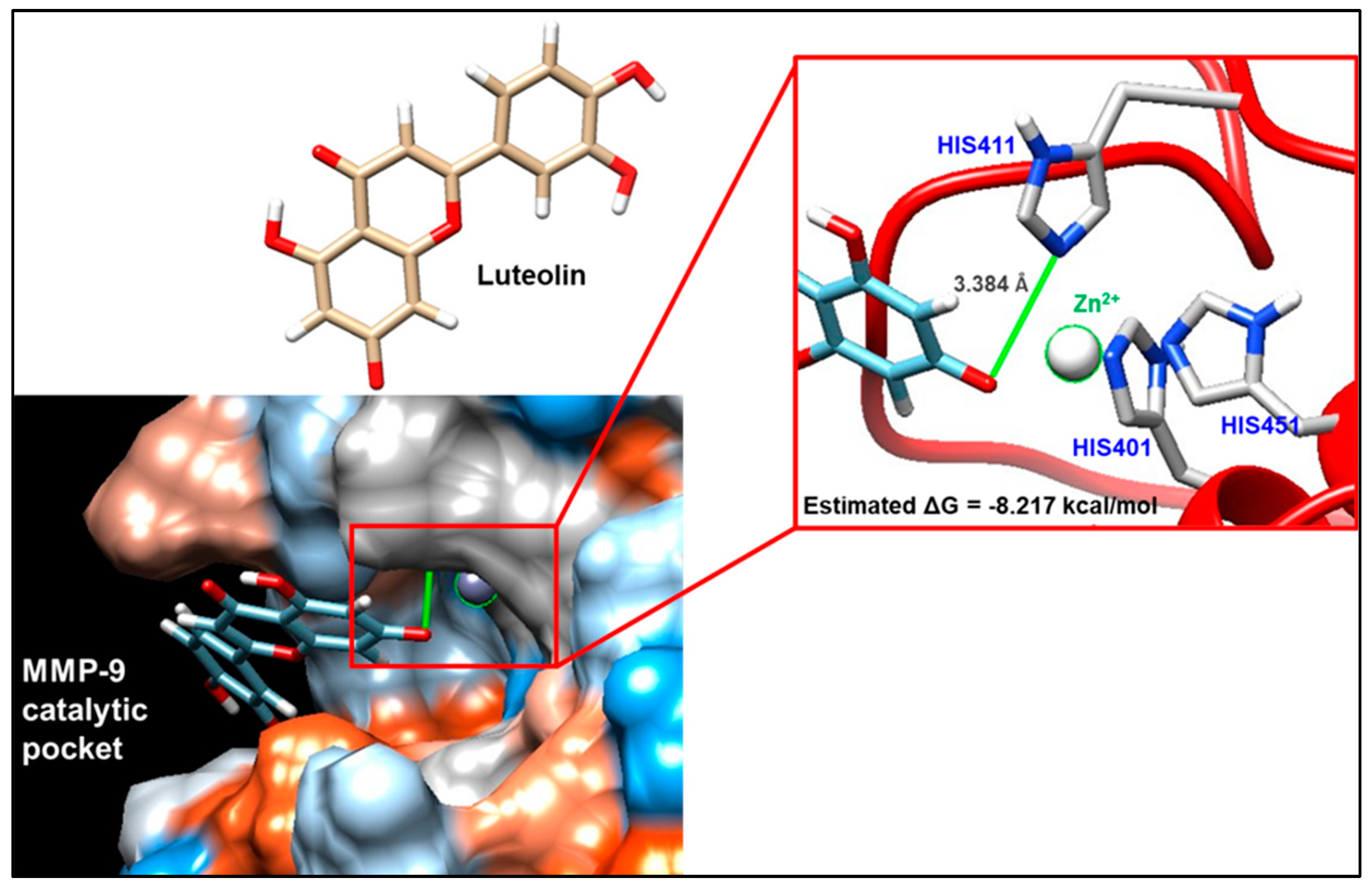 Biomolecules 13 01026 g005