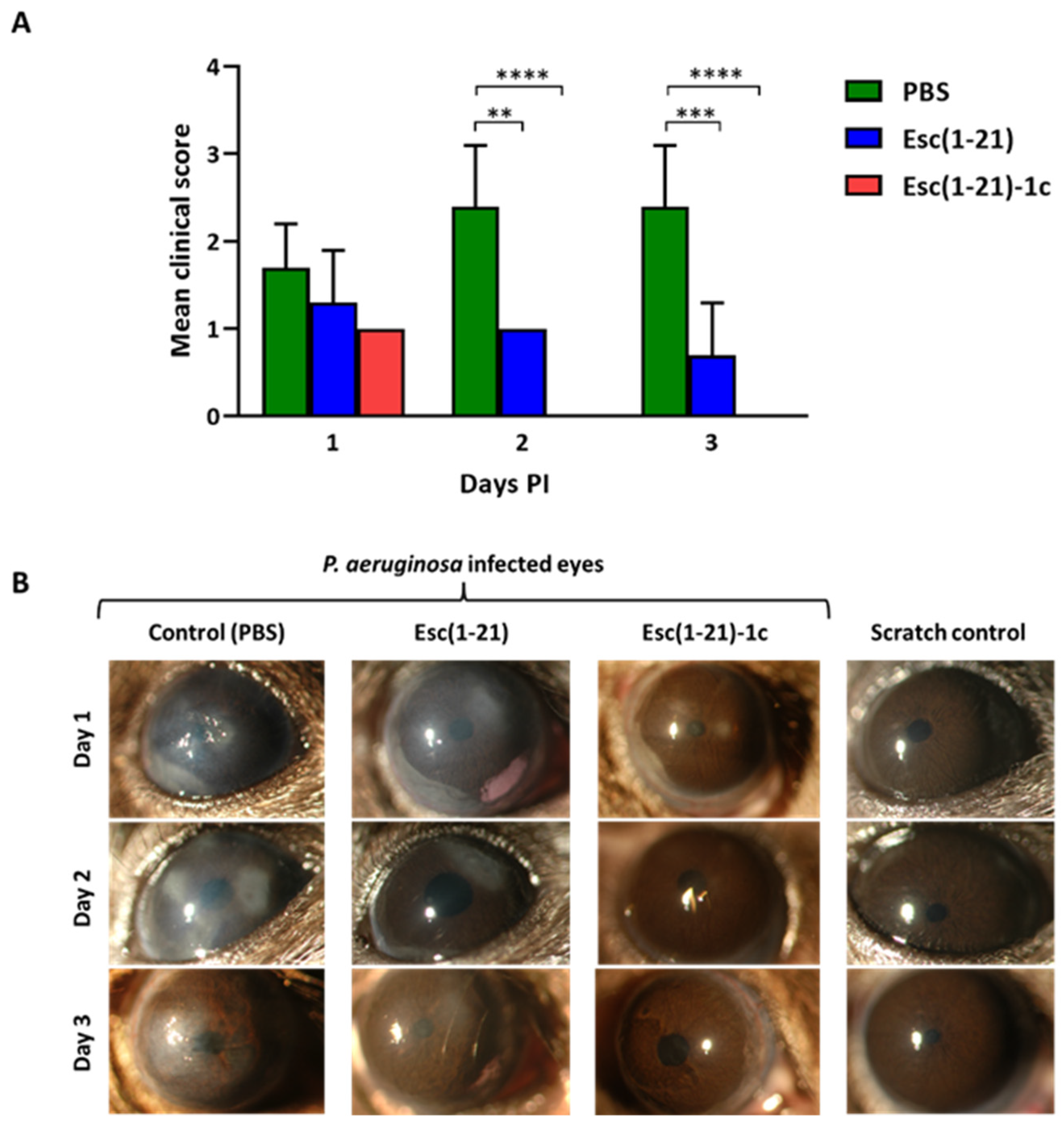 Biomolecules 13 01028 g001