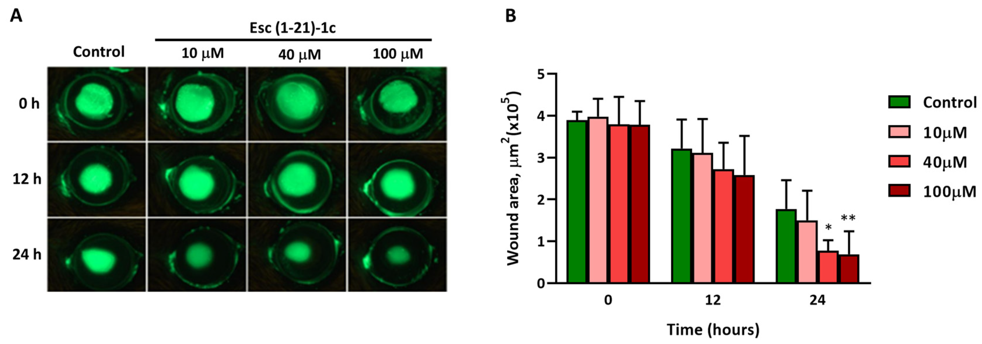 Biomolecules 13 01028 g002