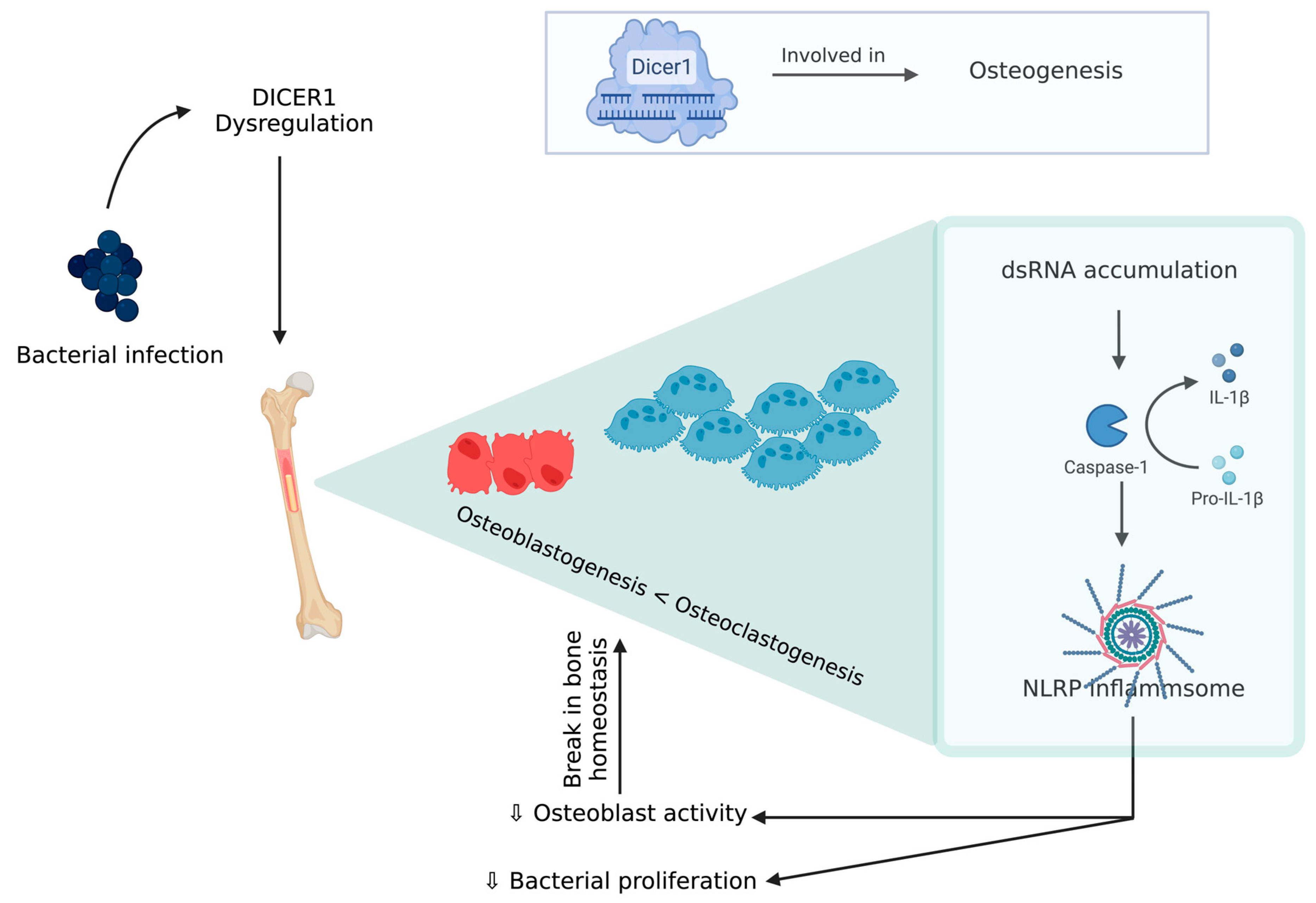 Biomolecules 13 01032 g004 Biomolecules 13 01032 g004