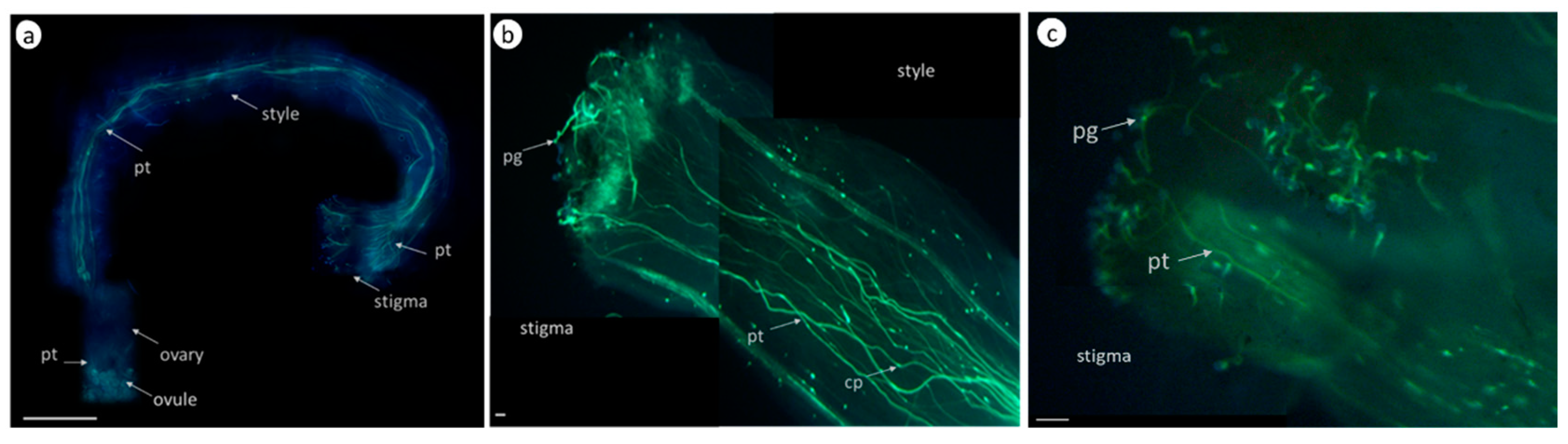 Biomolecules 13 01033 g002