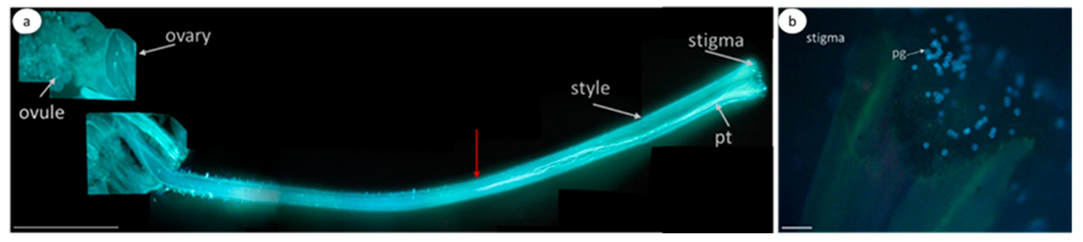 Biomolecules 13 01033 g003