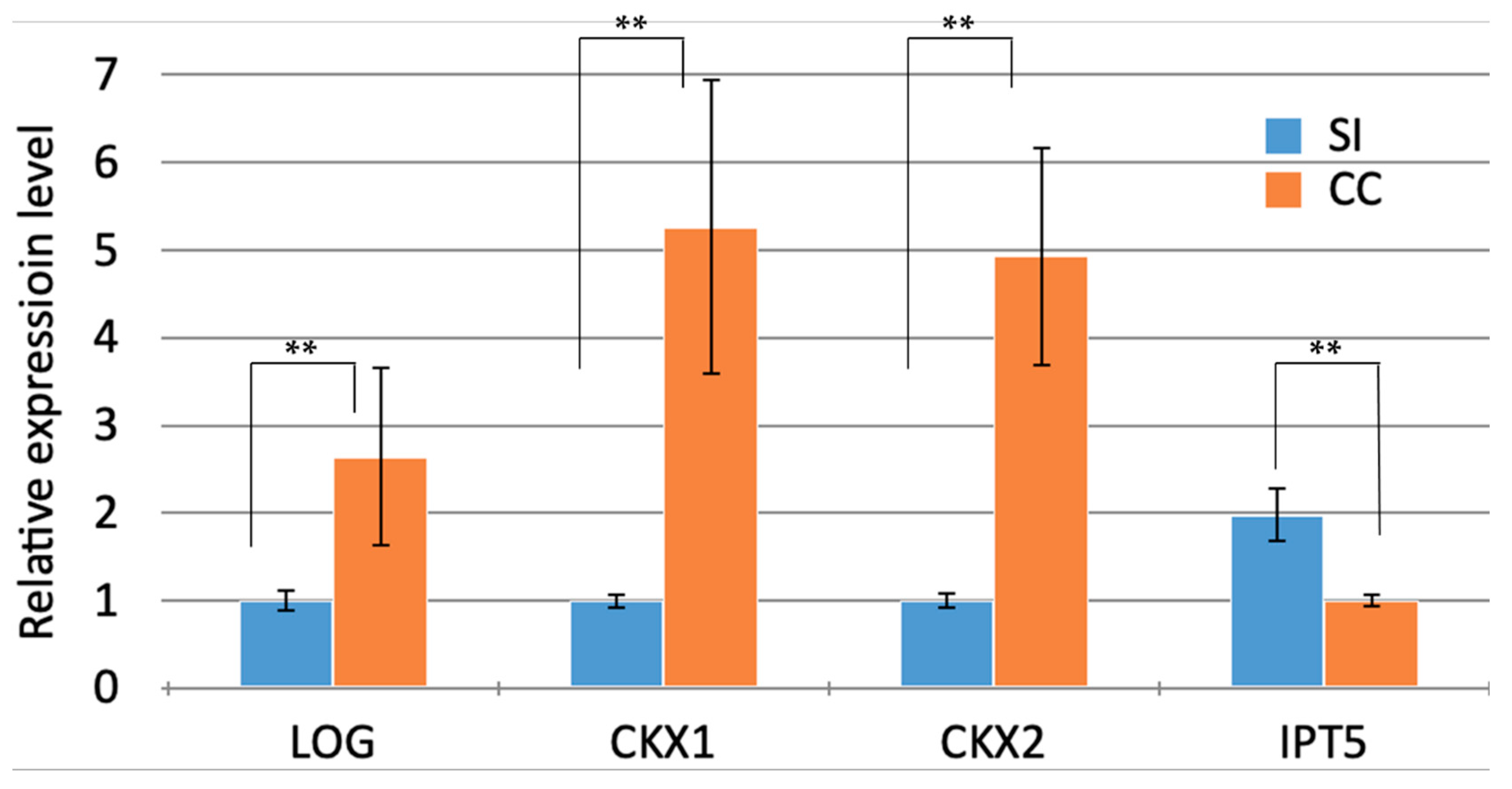 Biomolecules 13 01033 g010