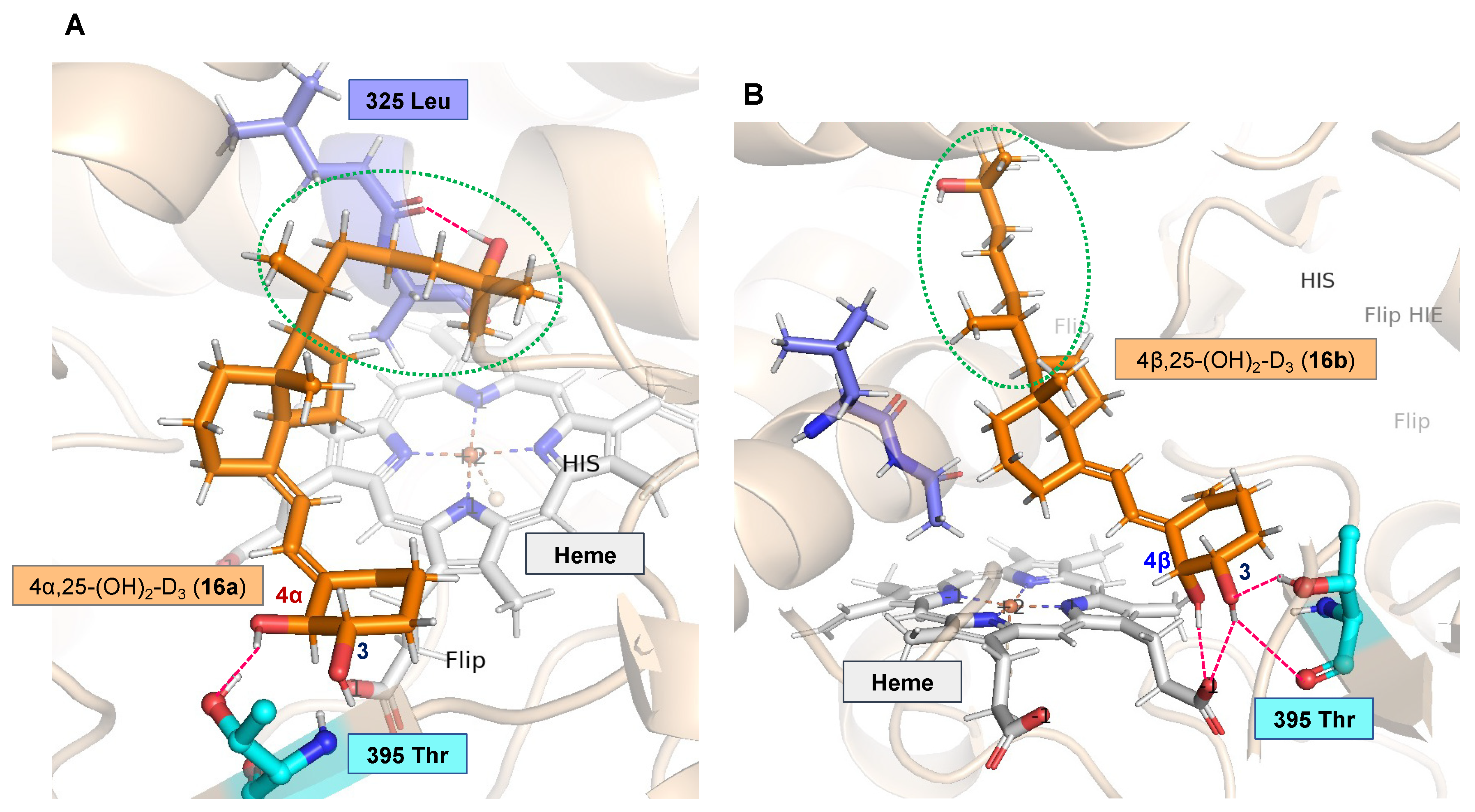 Biomolecules 13 01036 g002