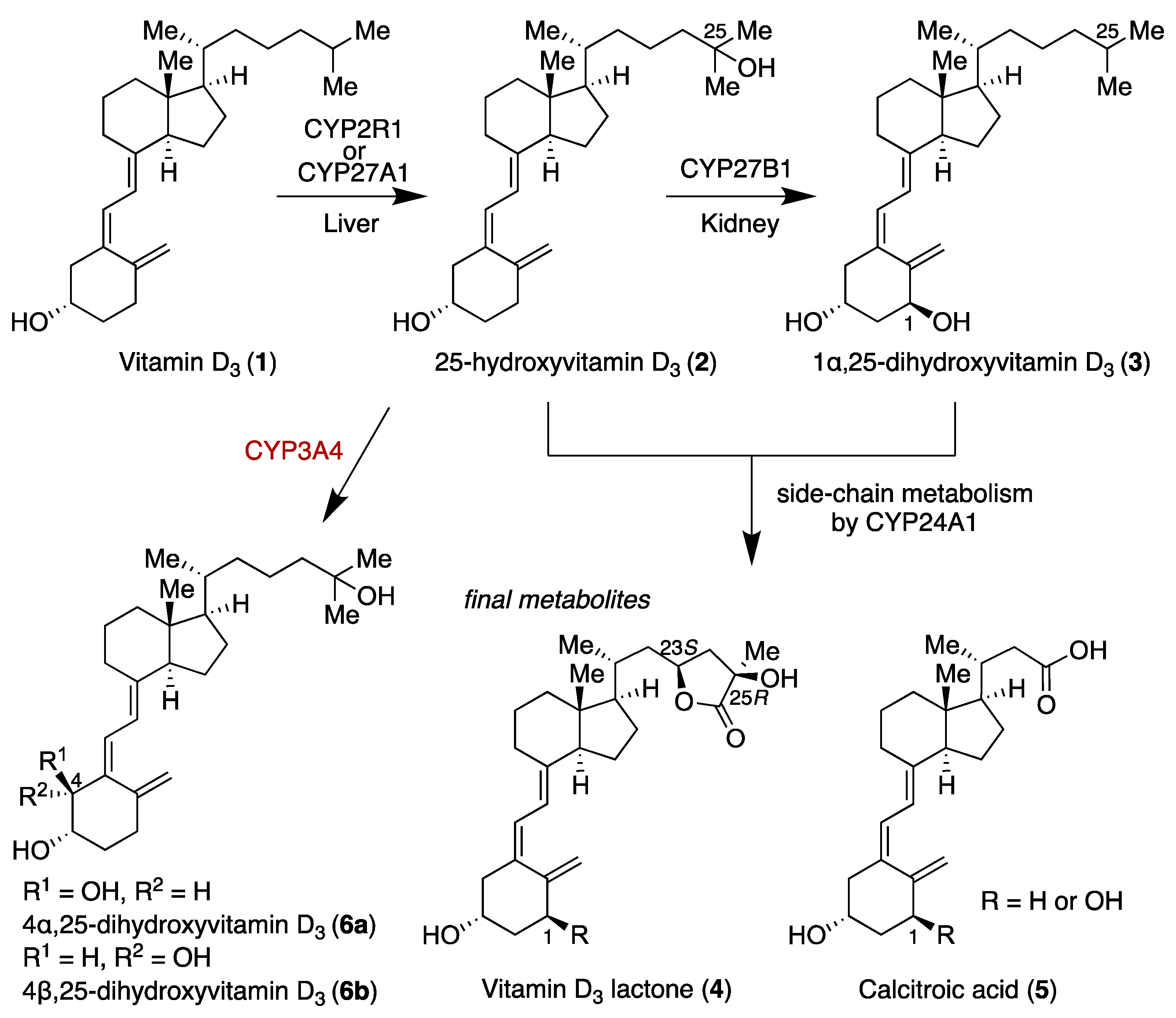 Biomolecules 13 01036 sch001