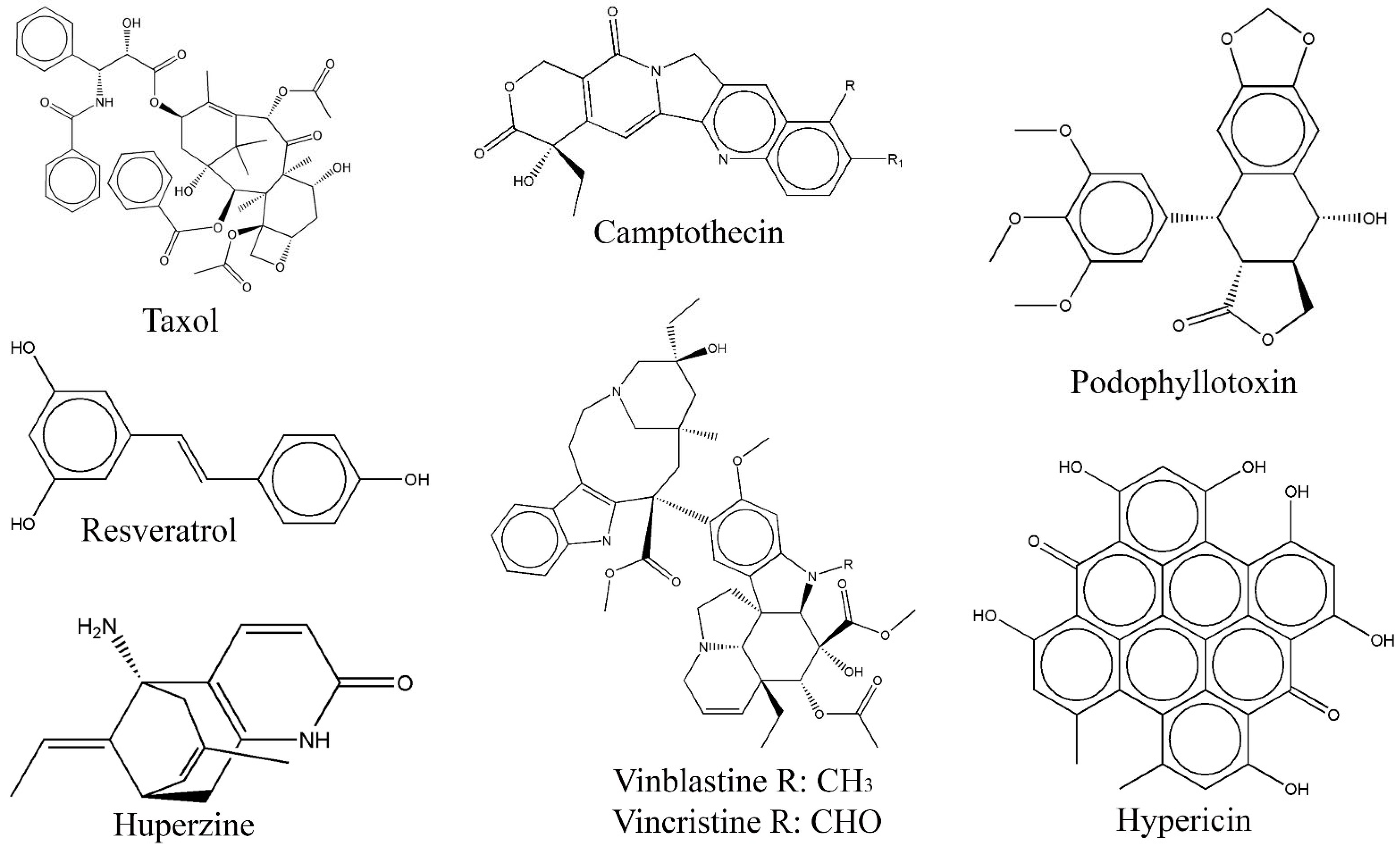Biomolecules 13 01038 g002