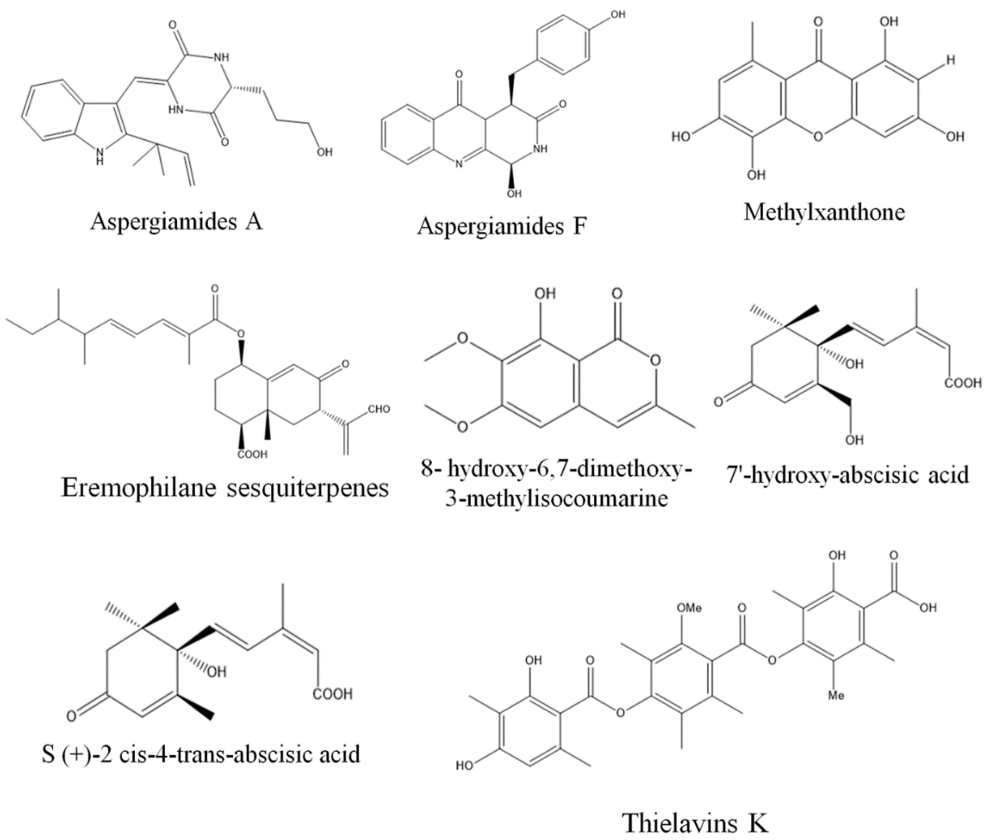 Biomolecules 13 01038 g006