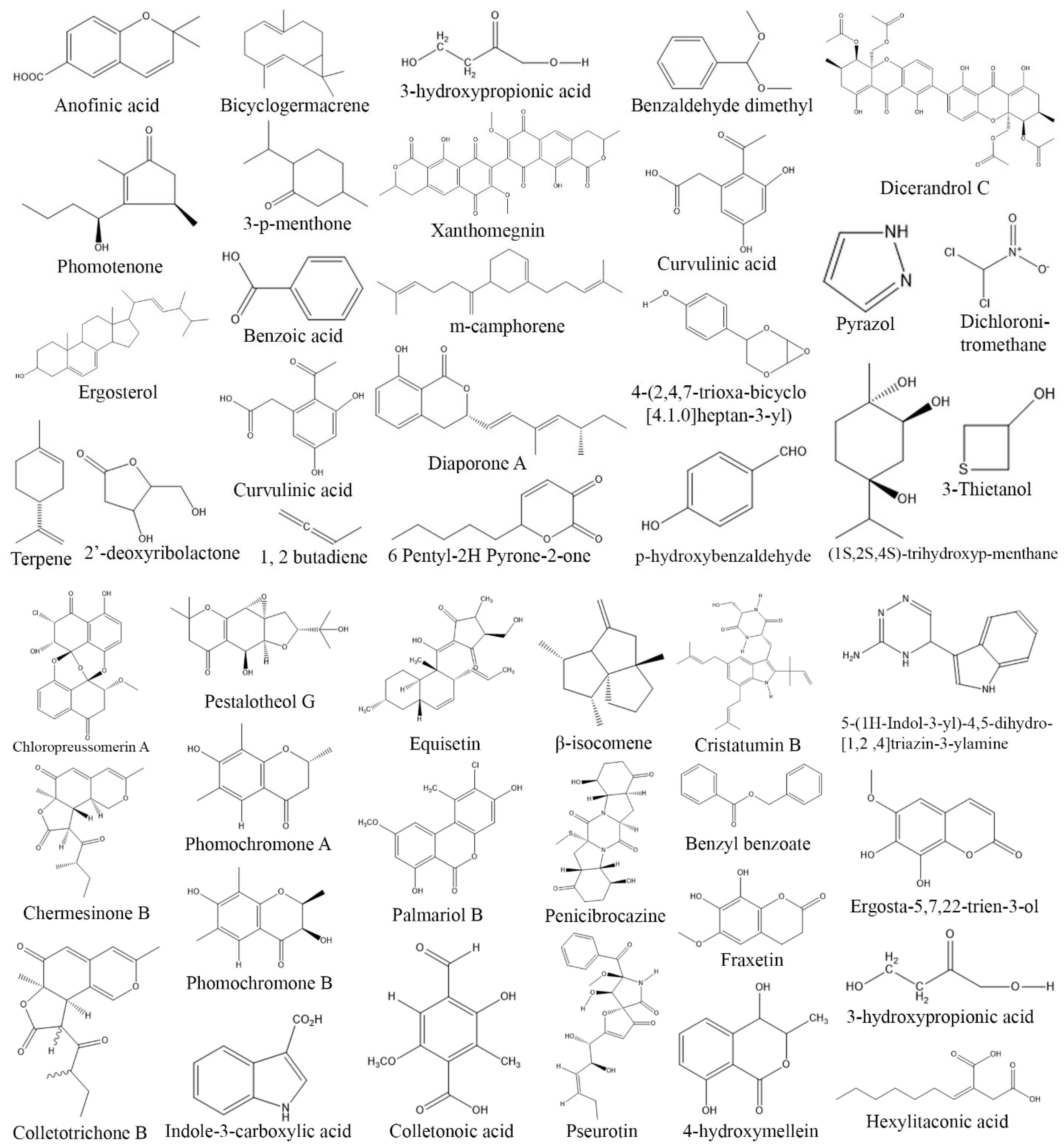Biomolecules 13 01038 g008
