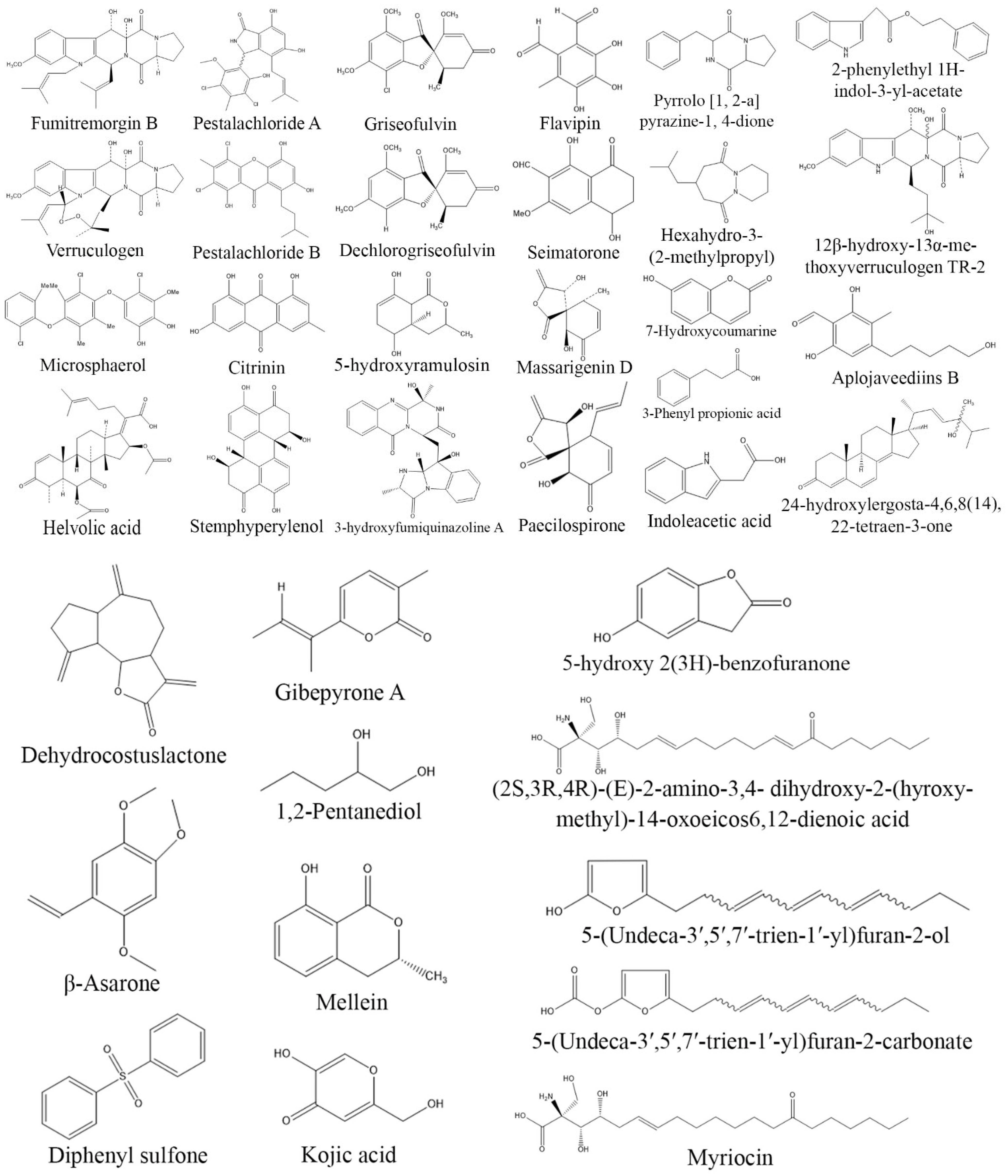 Biomolecules 13 01038 g009