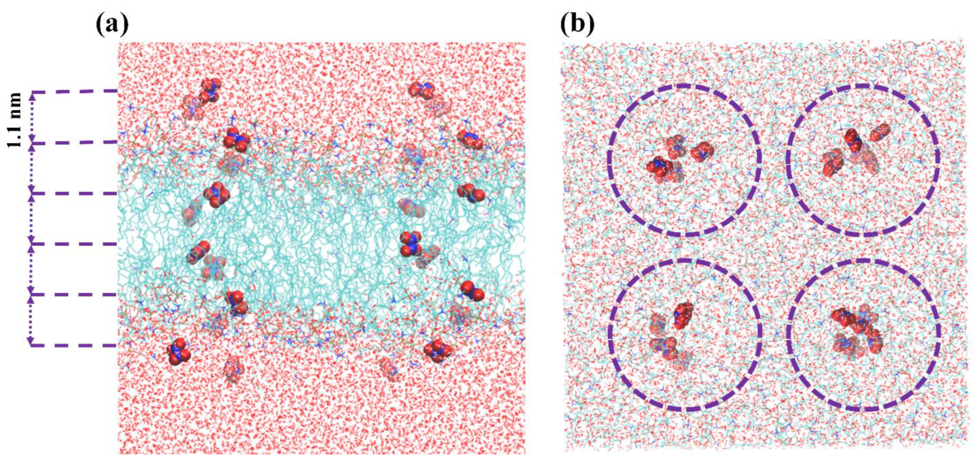 Biomolecules 13 01043 g002