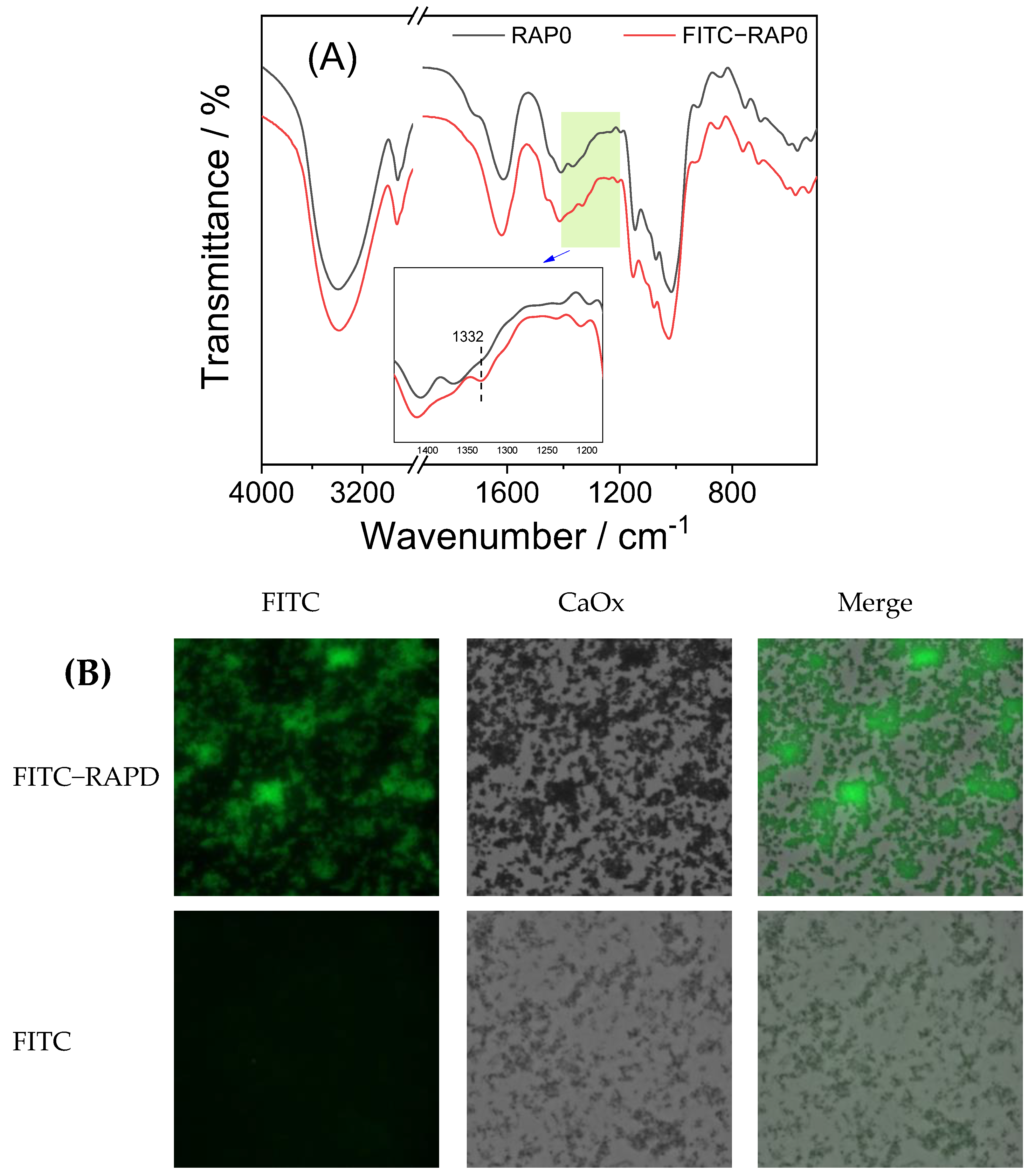 Biomolecules 13 01044 g009 Biomolecules 13 01044 g009