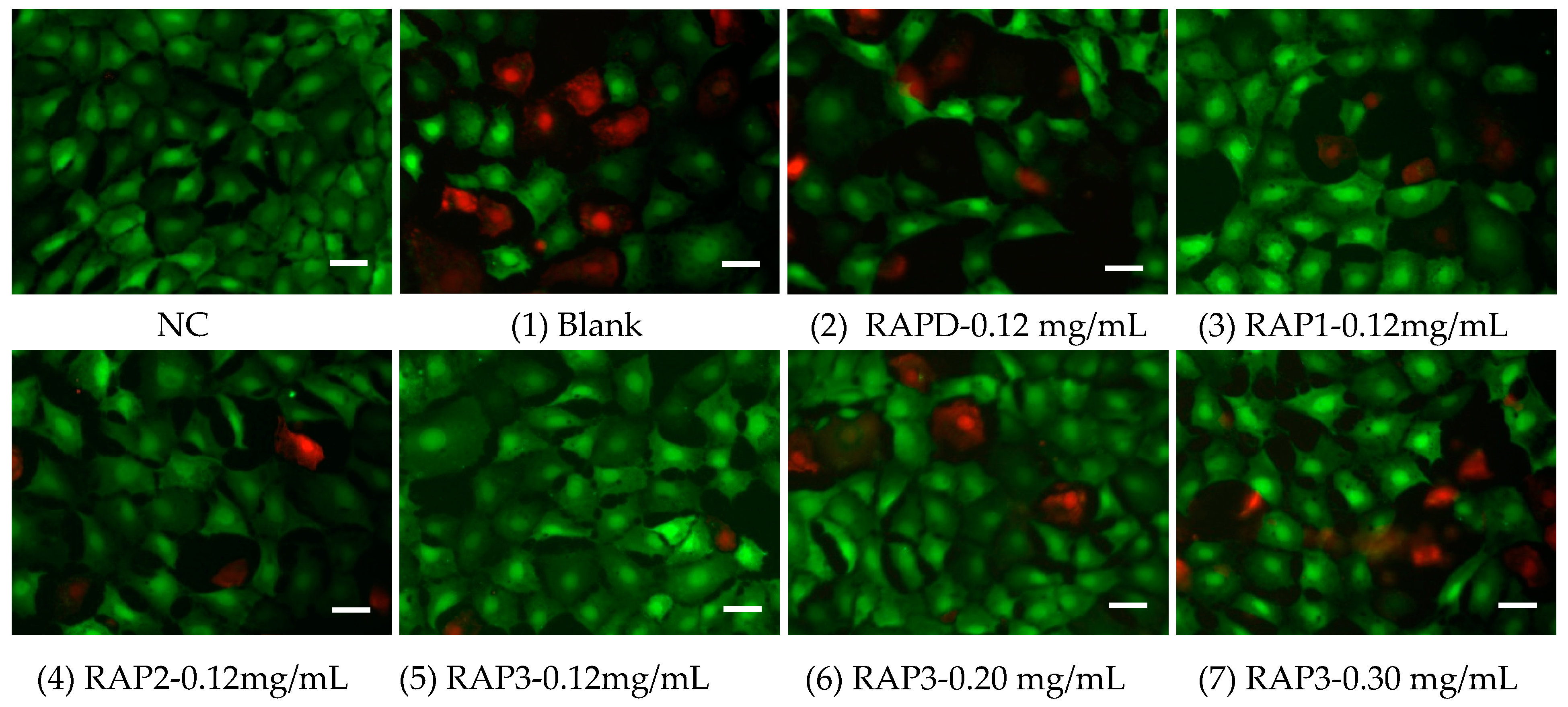 Biomolecules 13 01044 g011 Biomolecules 13 01044 g011