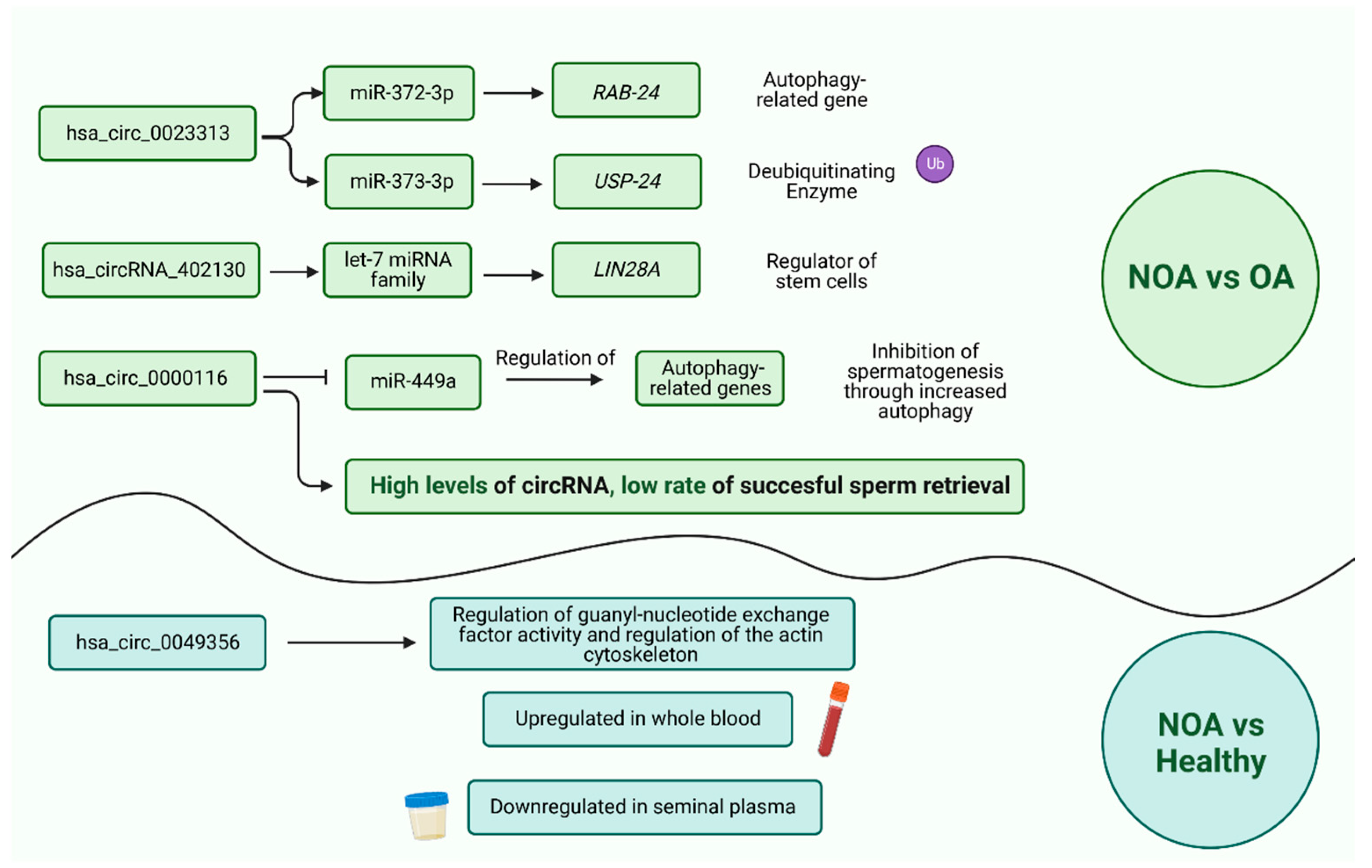 Biomolecules 13 01046 g006