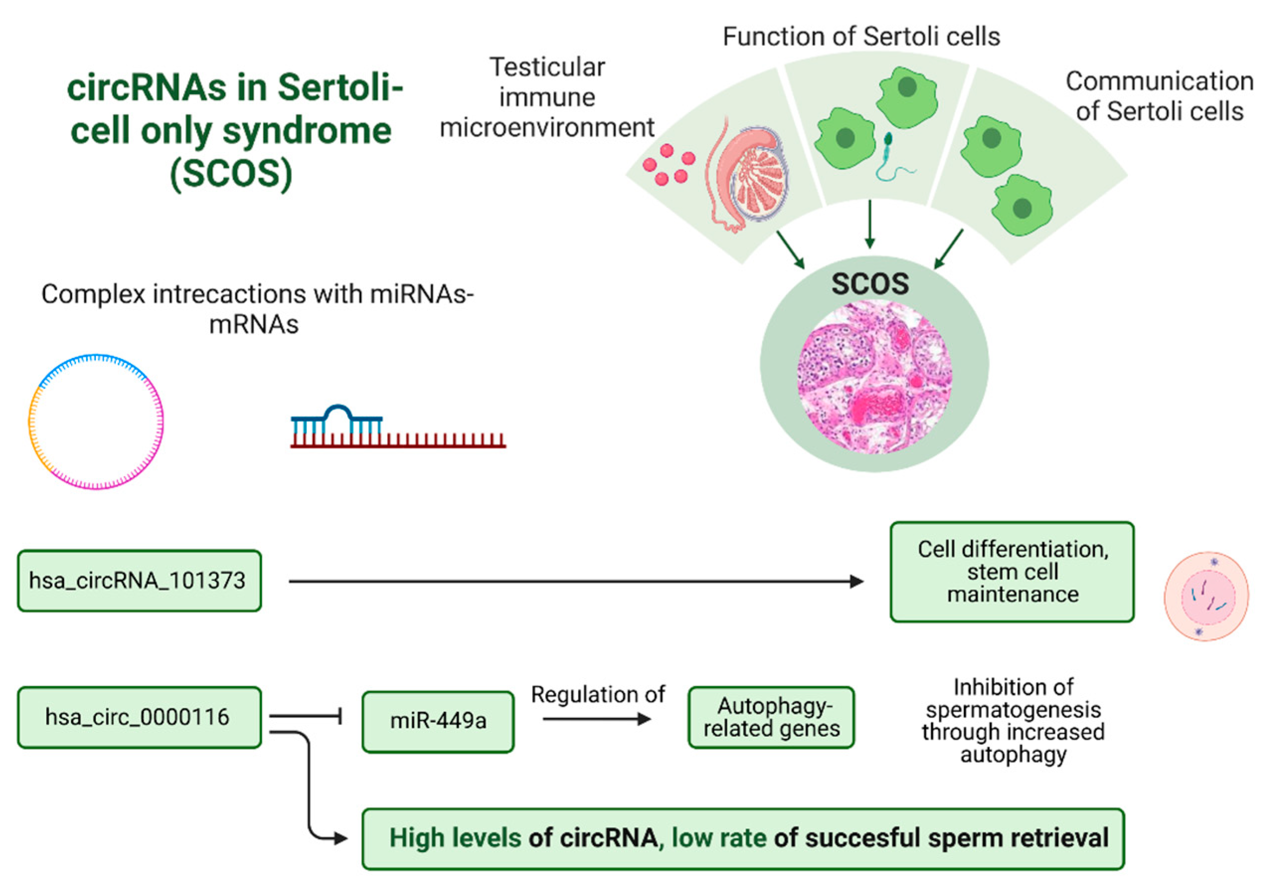 Biomolecules 13 01046 g007