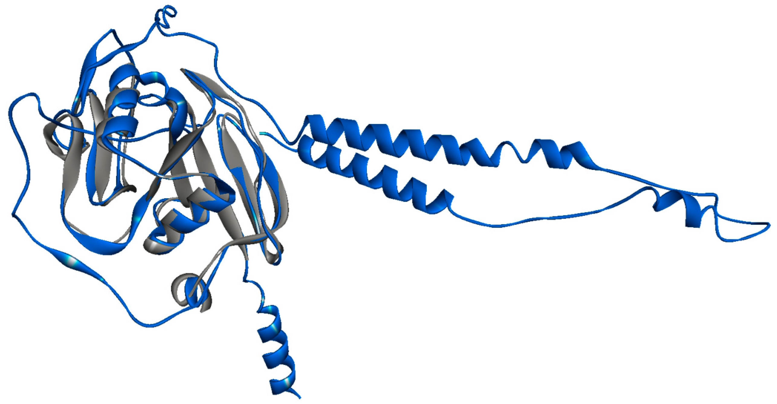 Biomolecules 13 01047 g001
