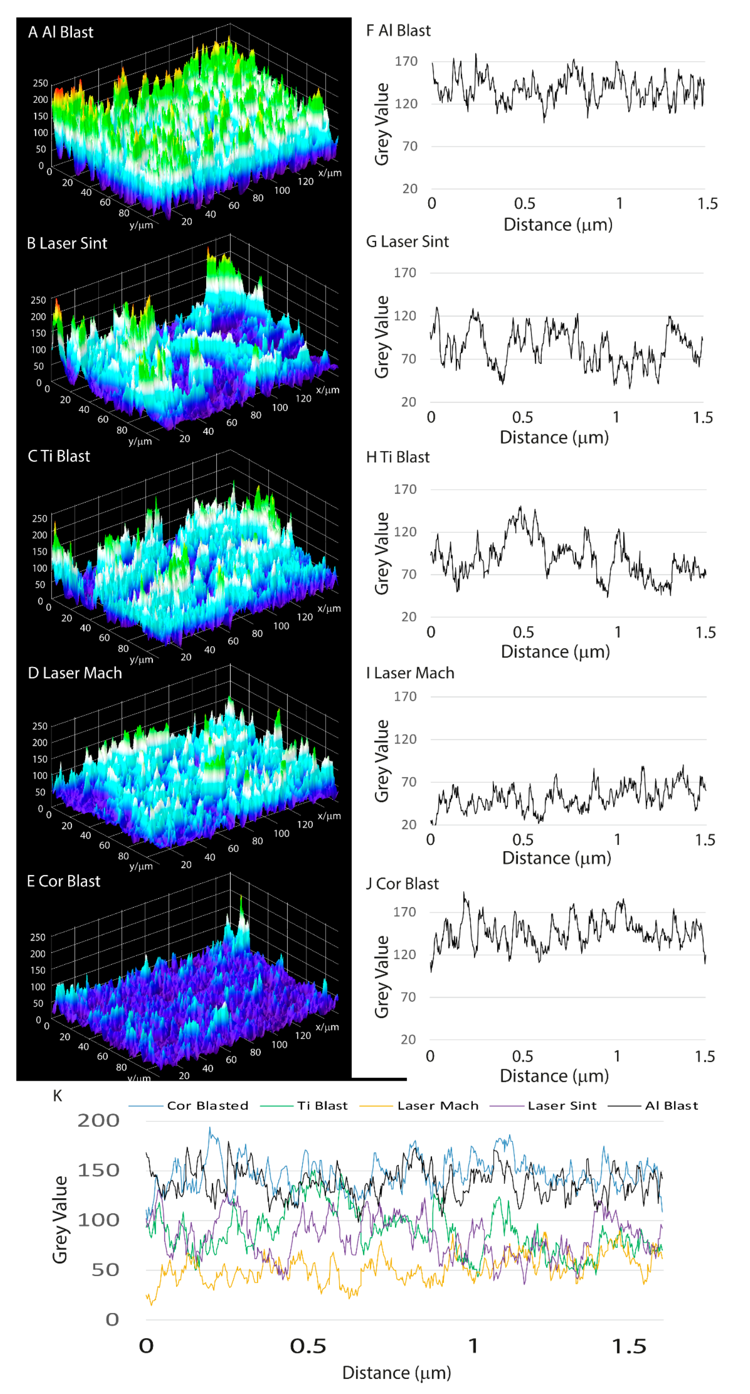 Biomolecules 13 01048 g003