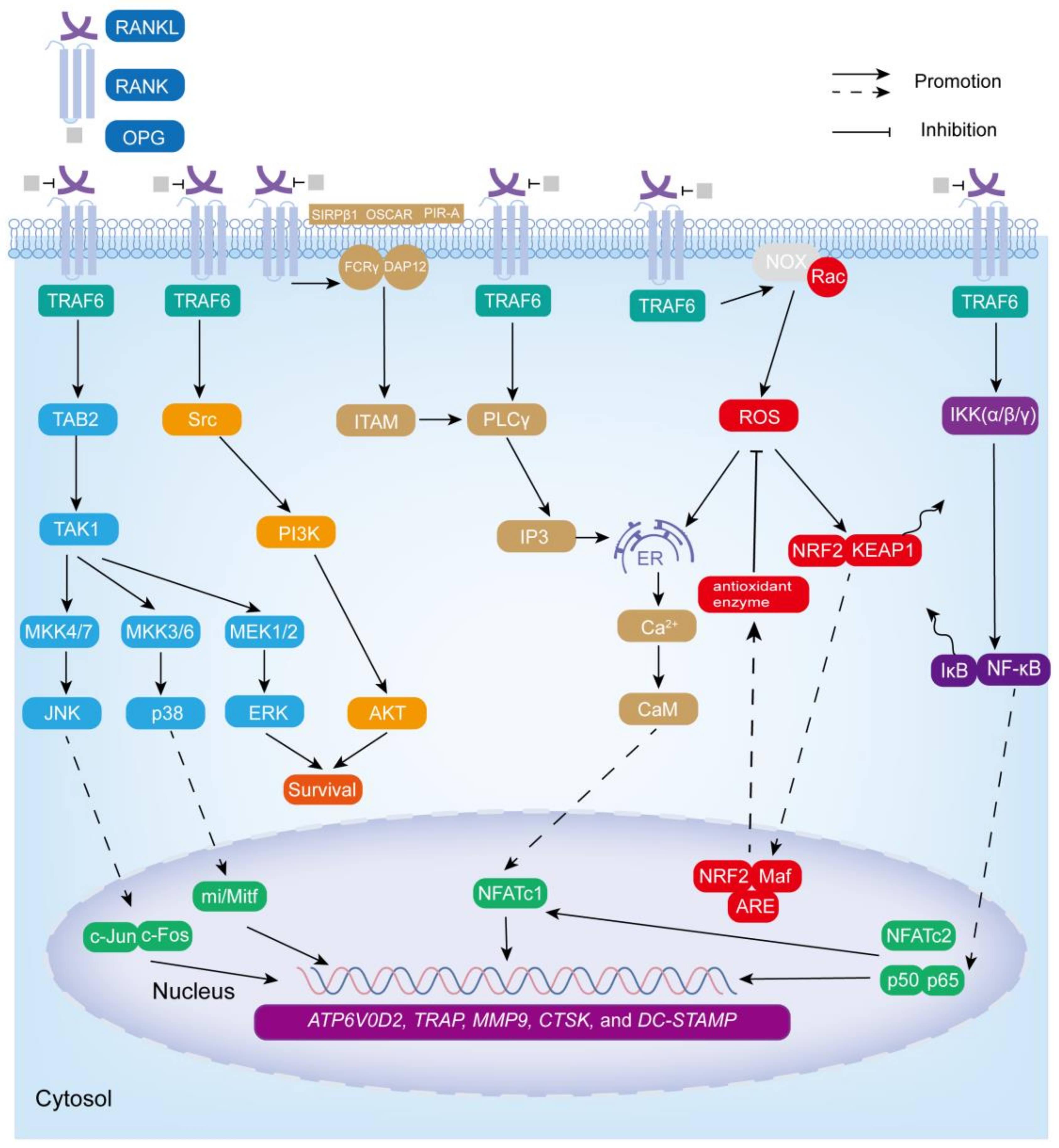 Biomolecules 13 01050 g002