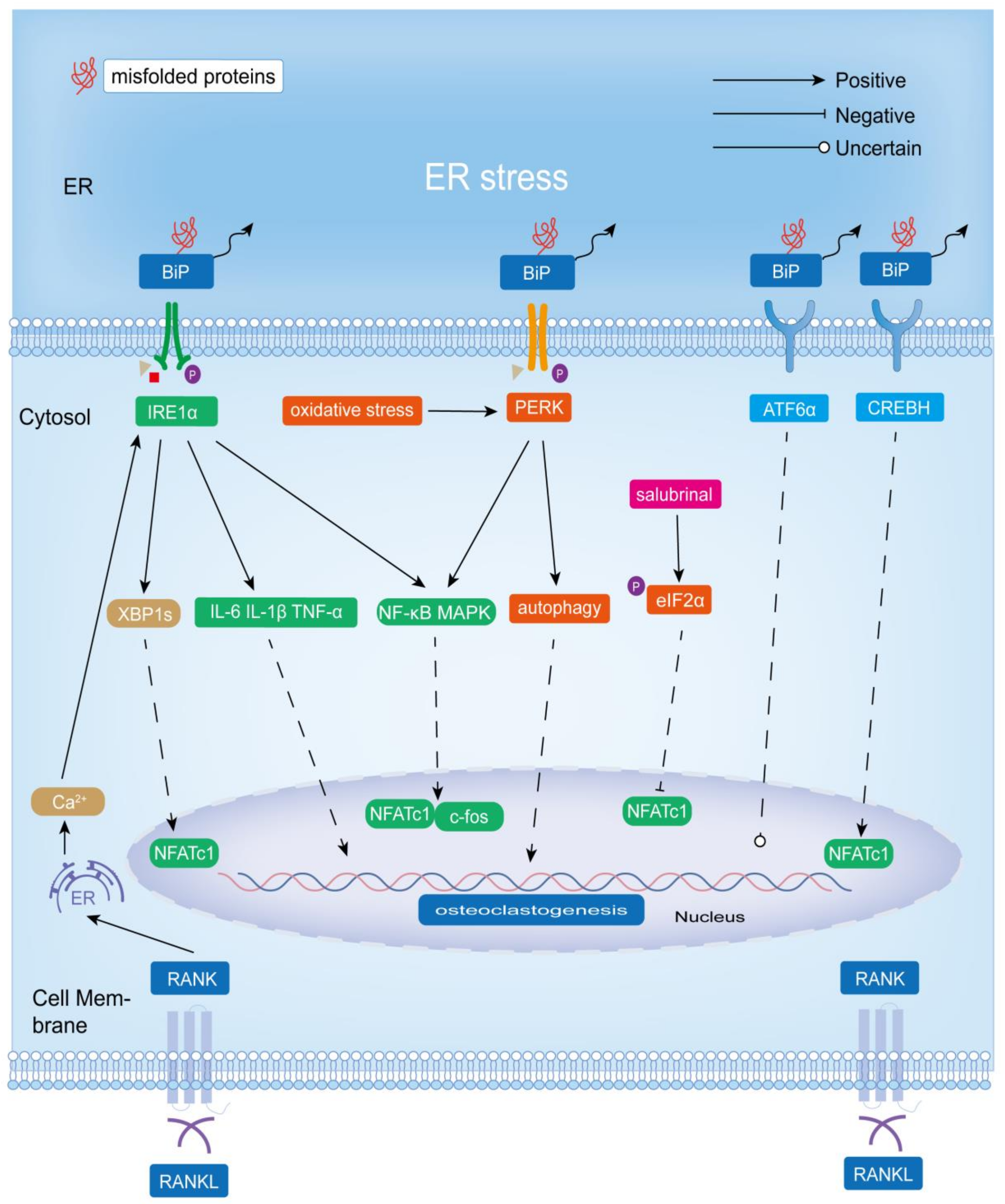 Biomolecules 13 01050 g003