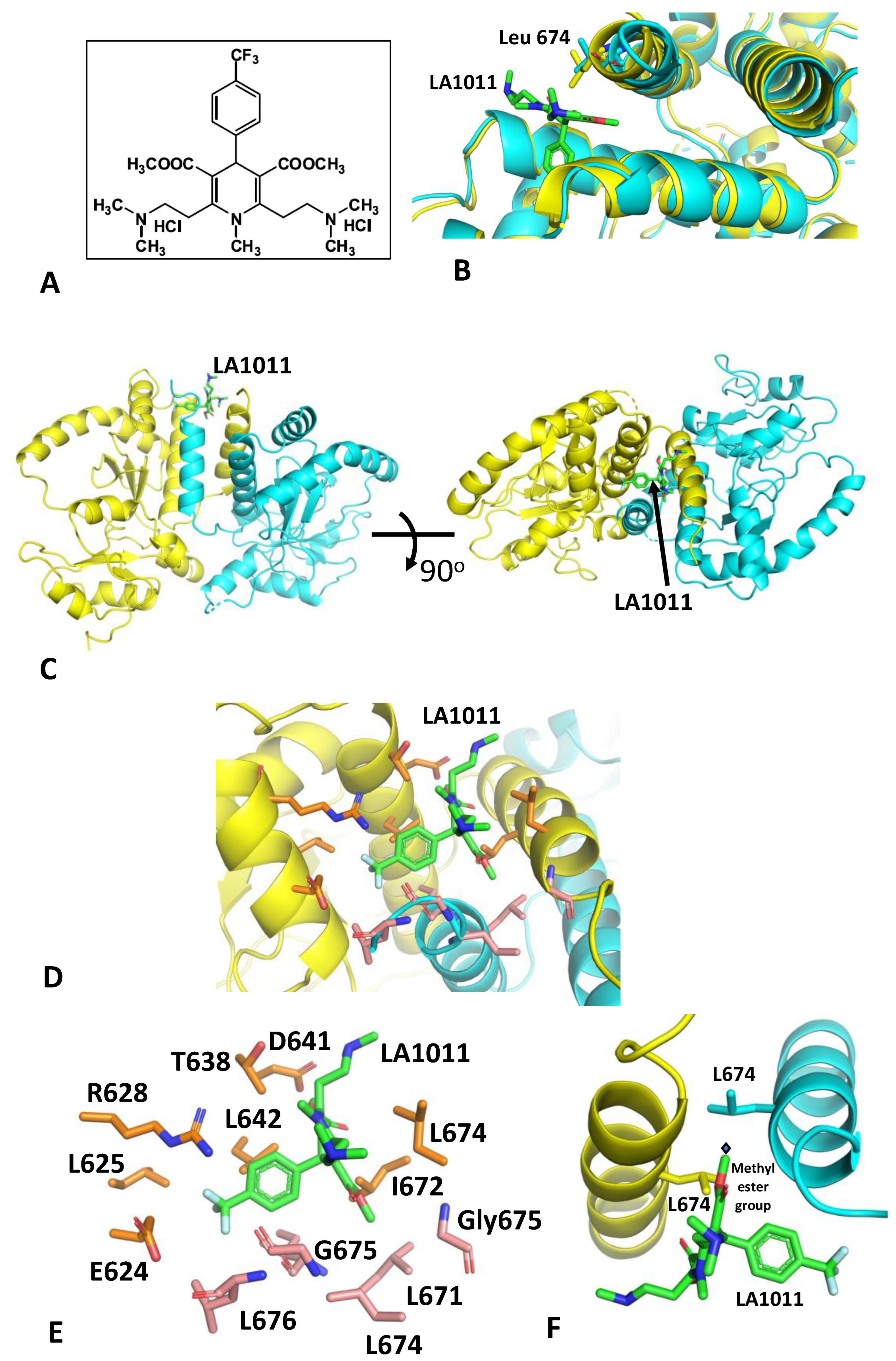 Biomolecules 13 01051 g001 Biomolecules 13 01051 g001