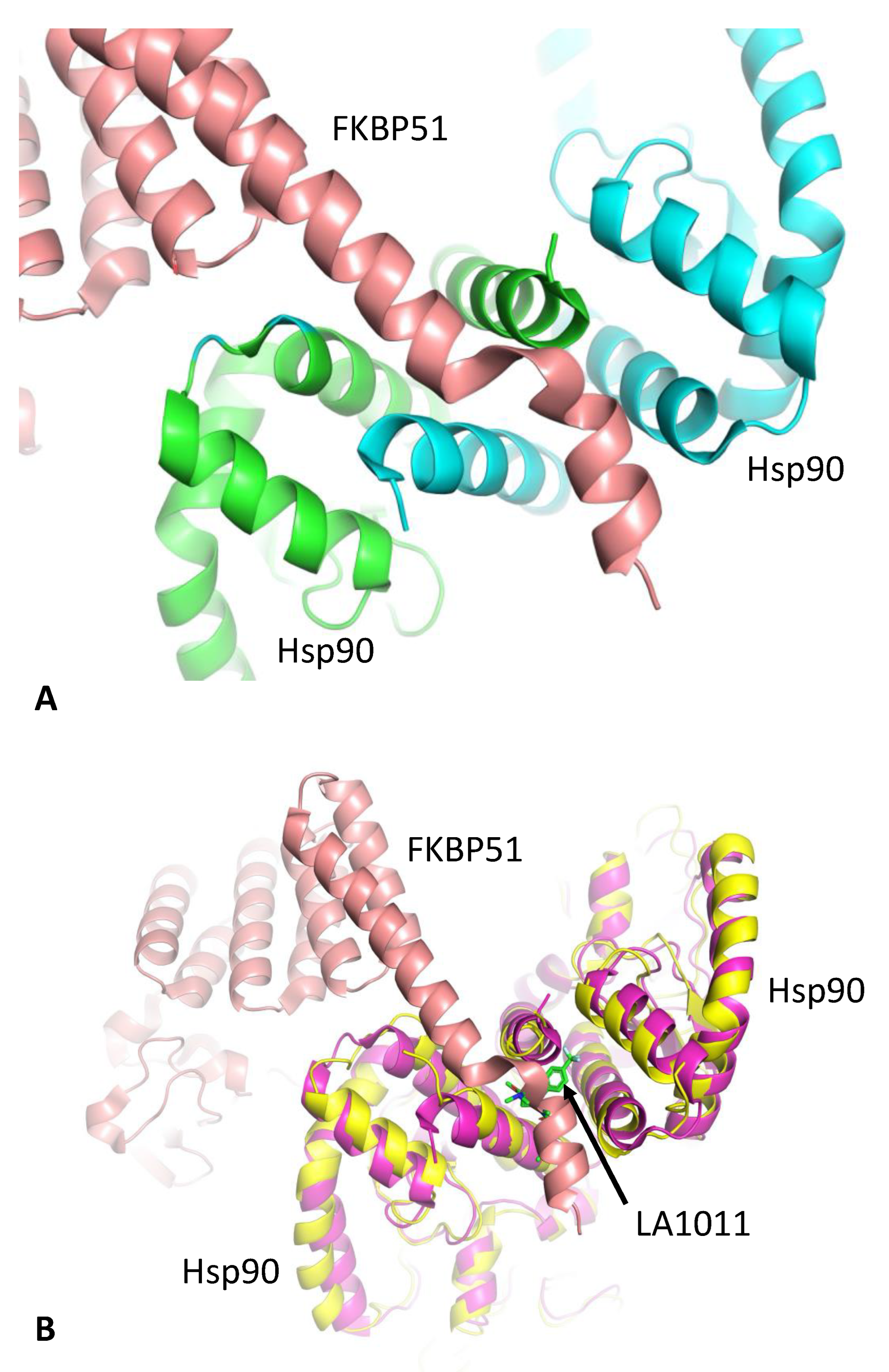 Biomolecules 13 01051 g002 Biomolecules 13 01051 g002