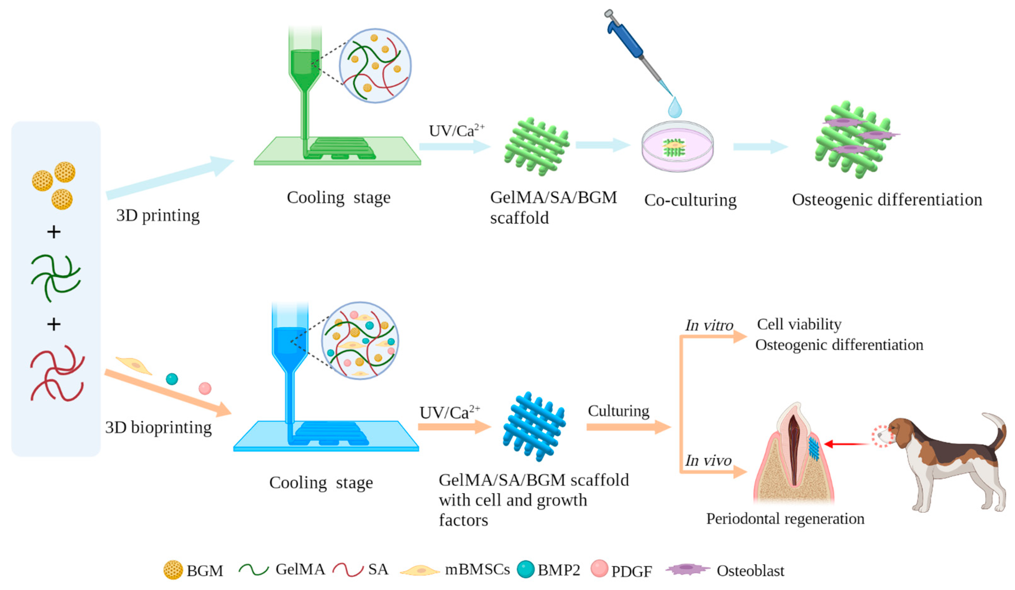 Biomolecules 13 01062 g001