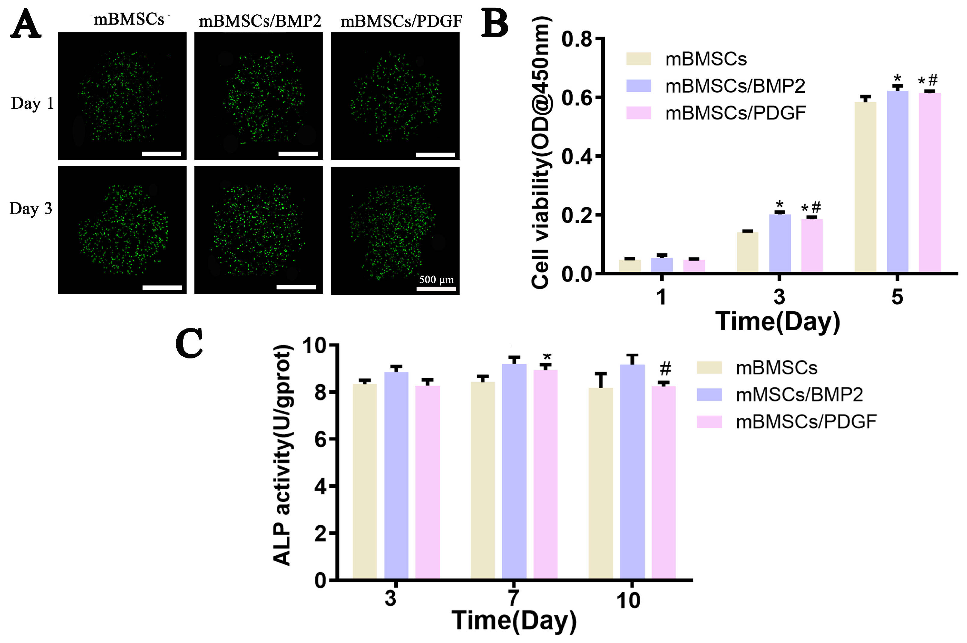 Biomolecules 13 01062 g006