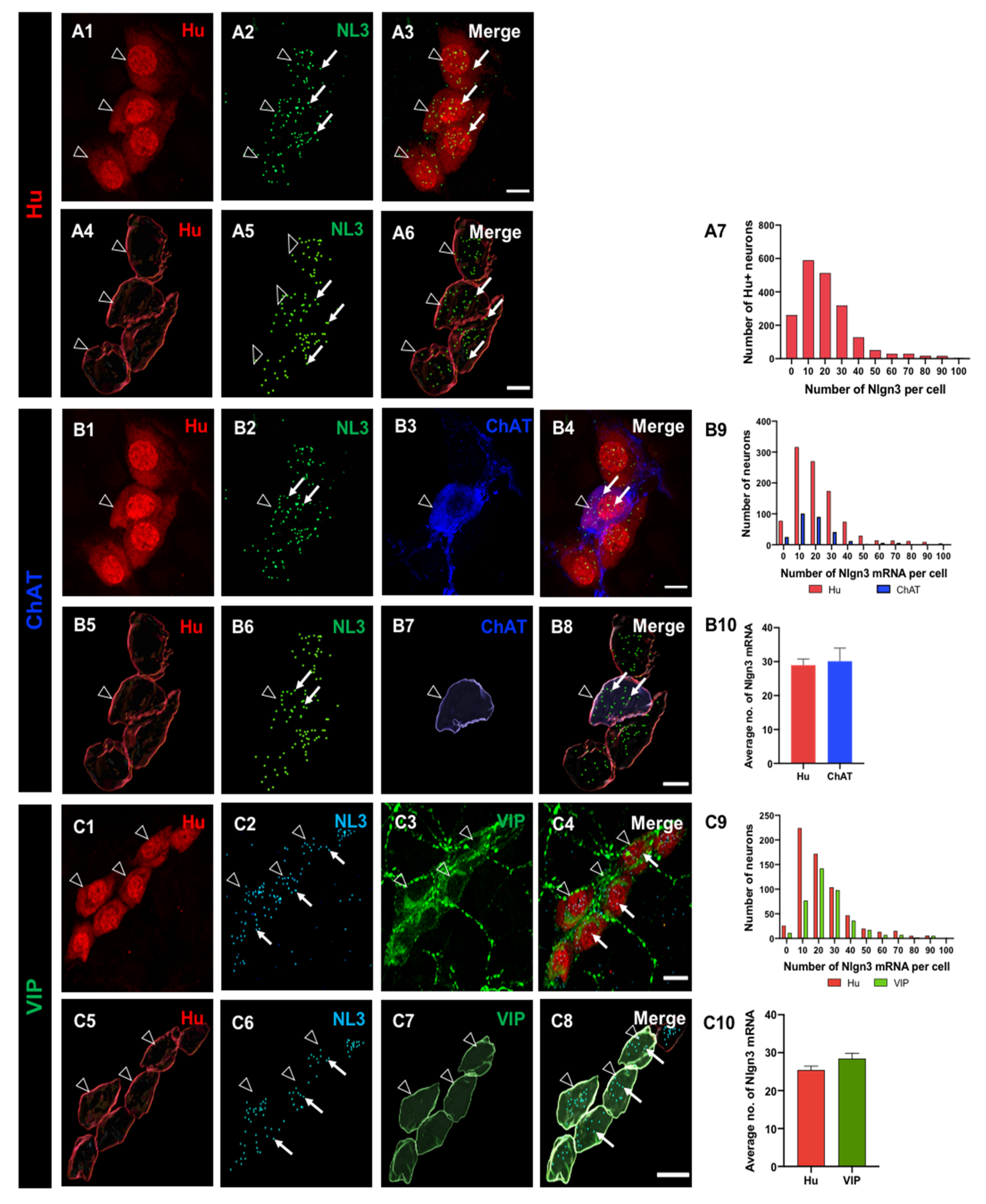 Biomolecules 13 01063 g001